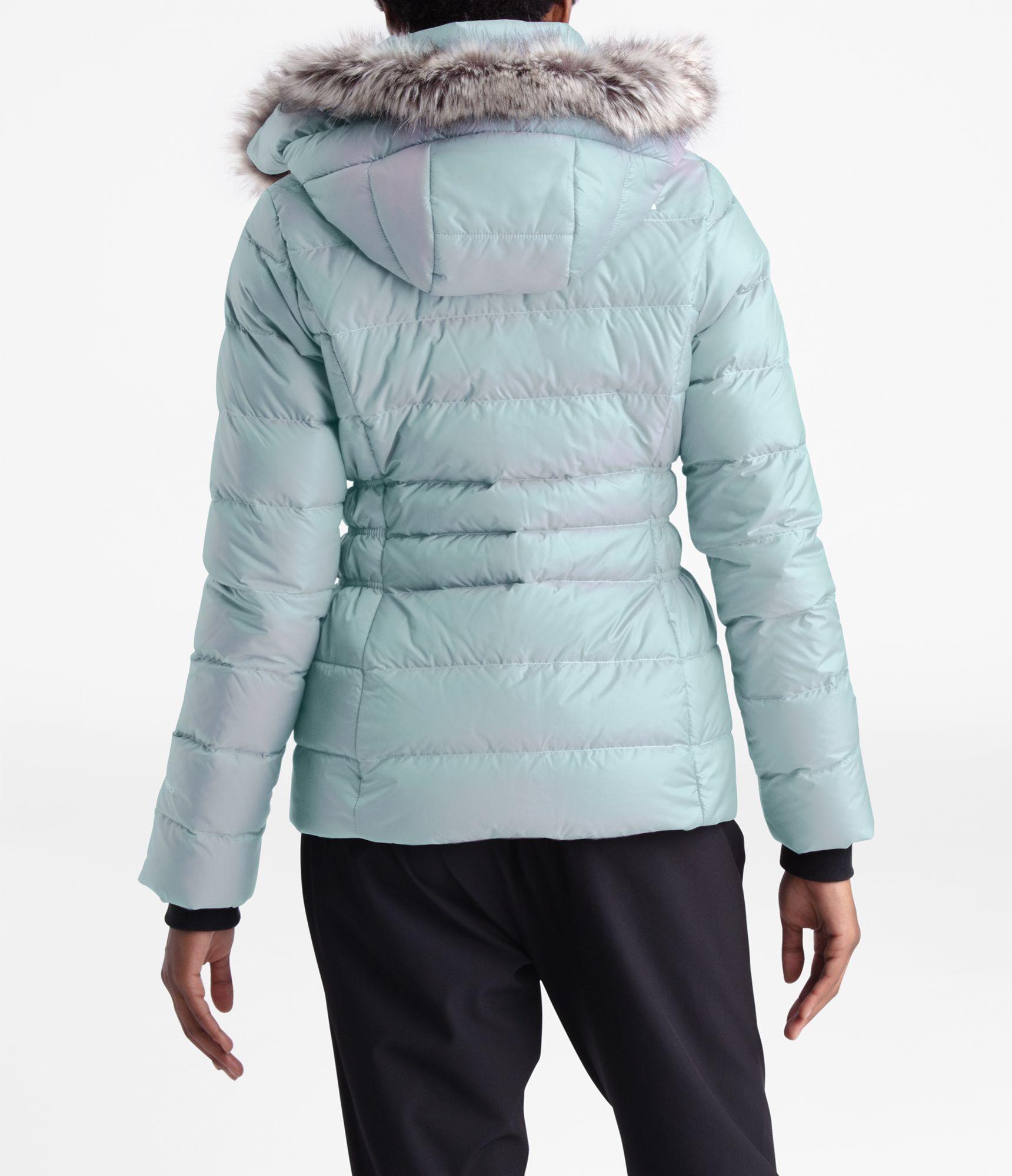 blue frost iridescent north face