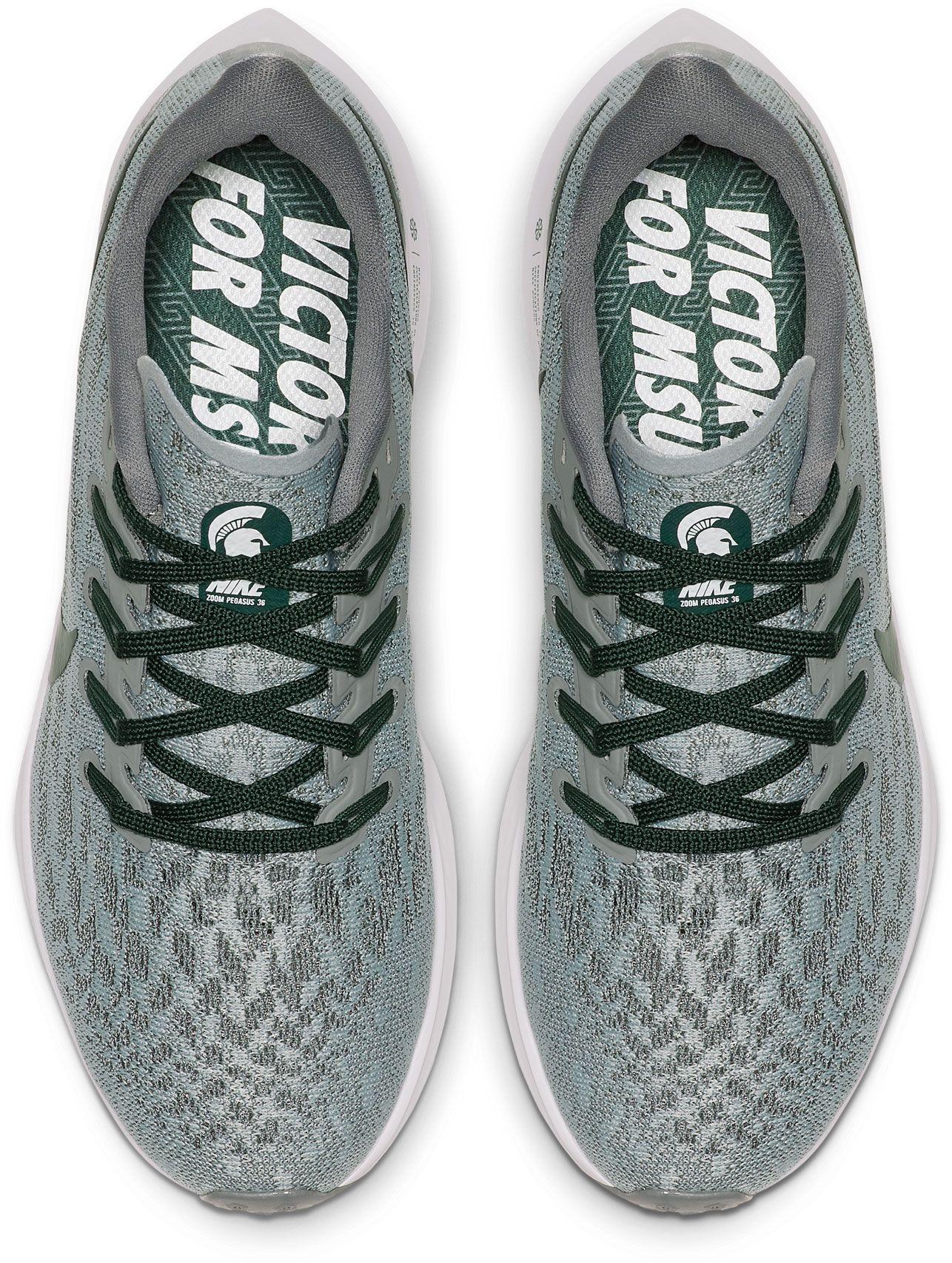 nike michigan pegasus 38