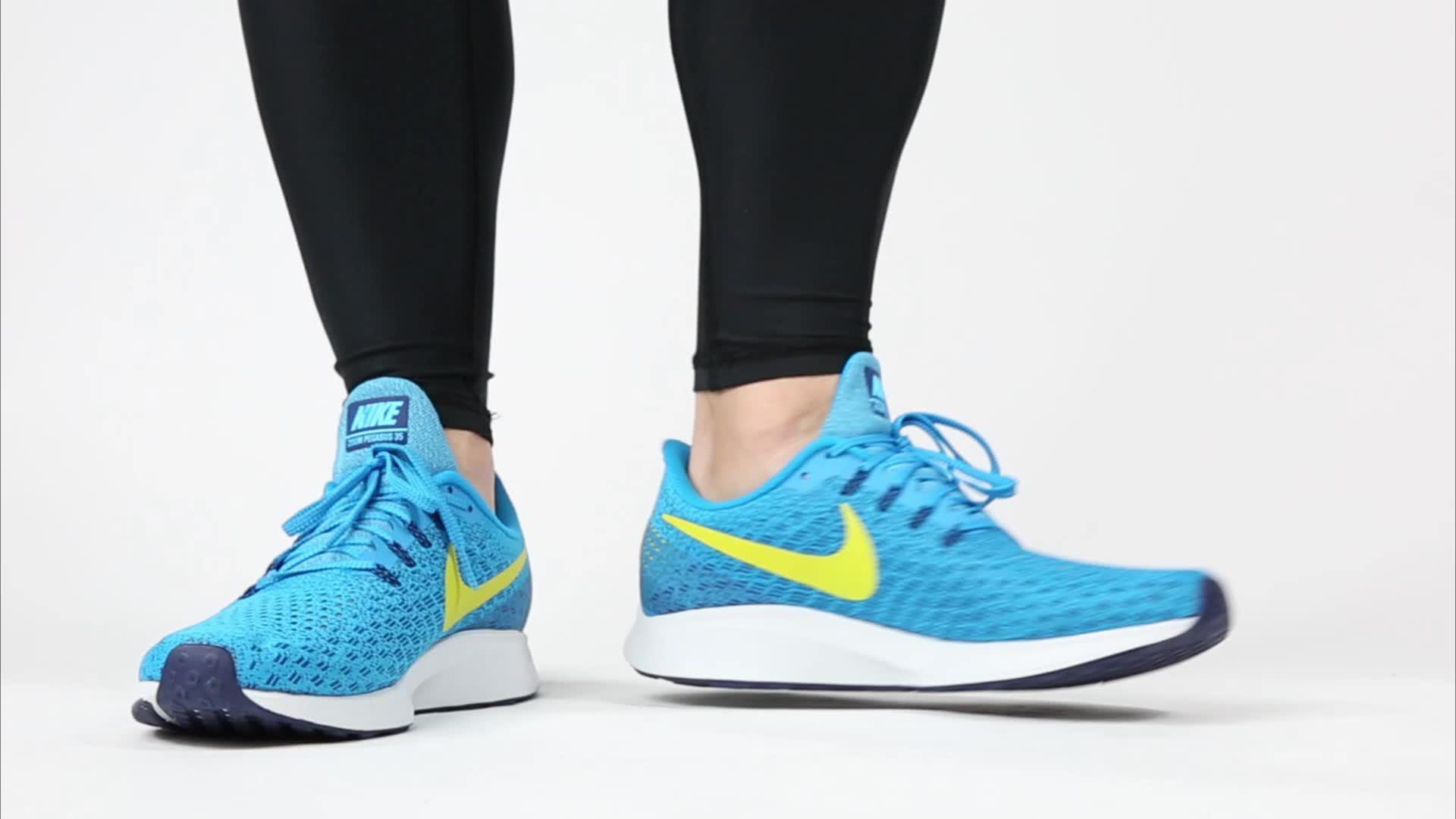 dicks sporting goods nike pegasus