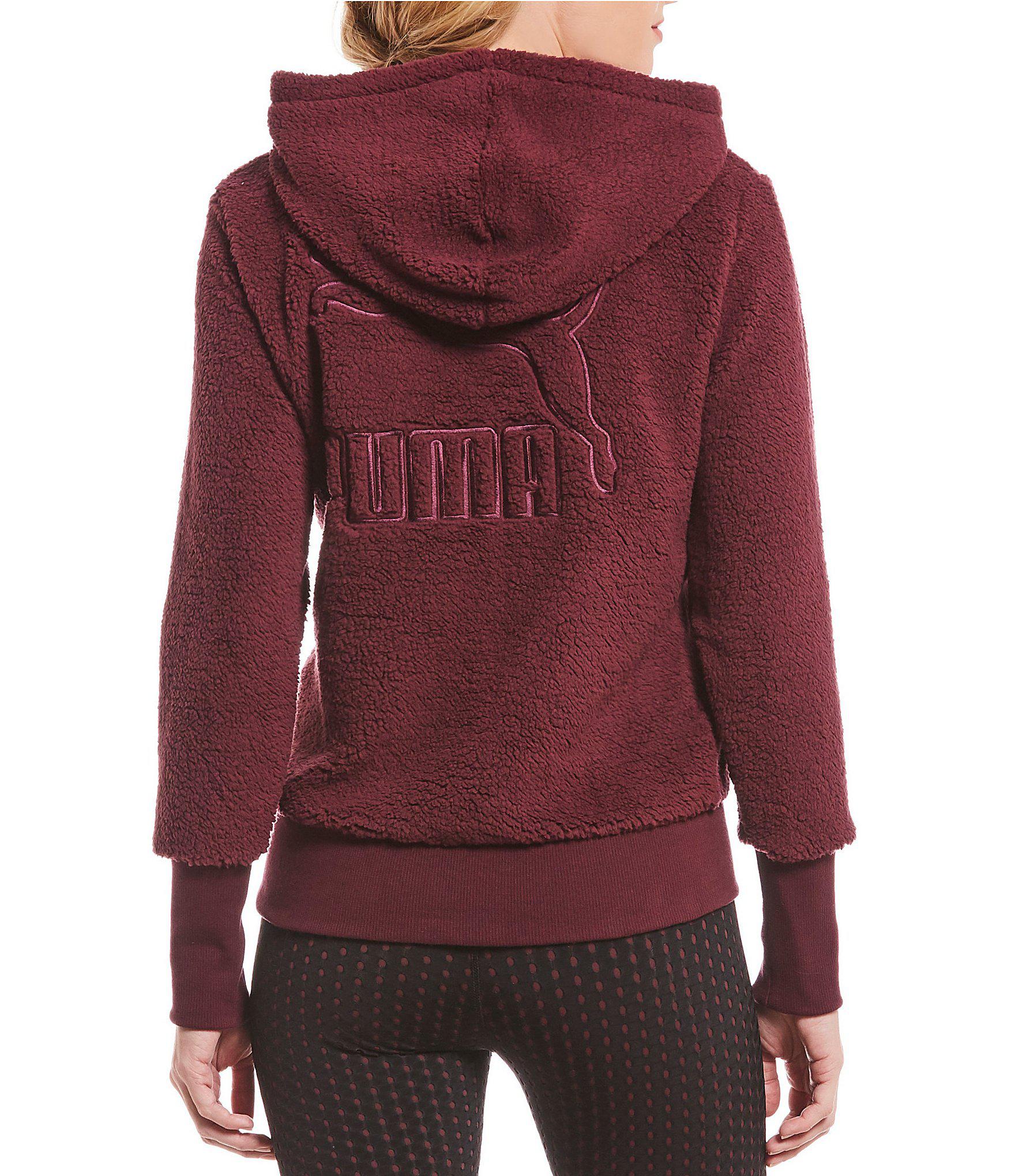 puma teddy