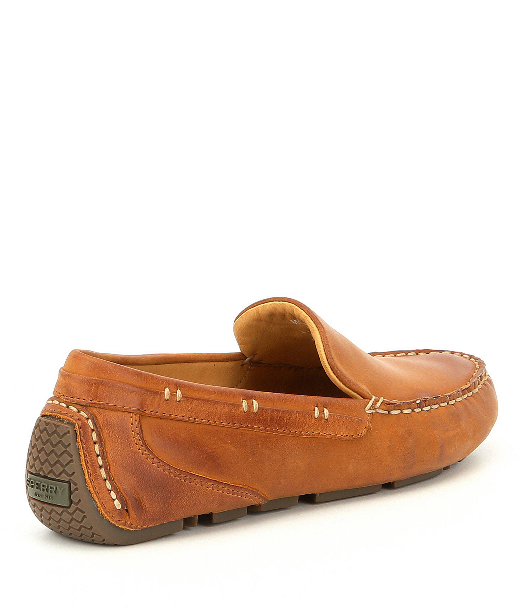 sperry harpswell driver