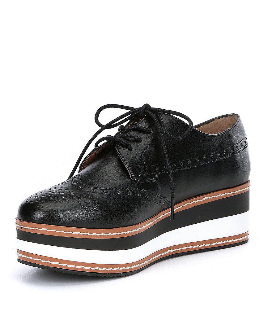 steve madden greco