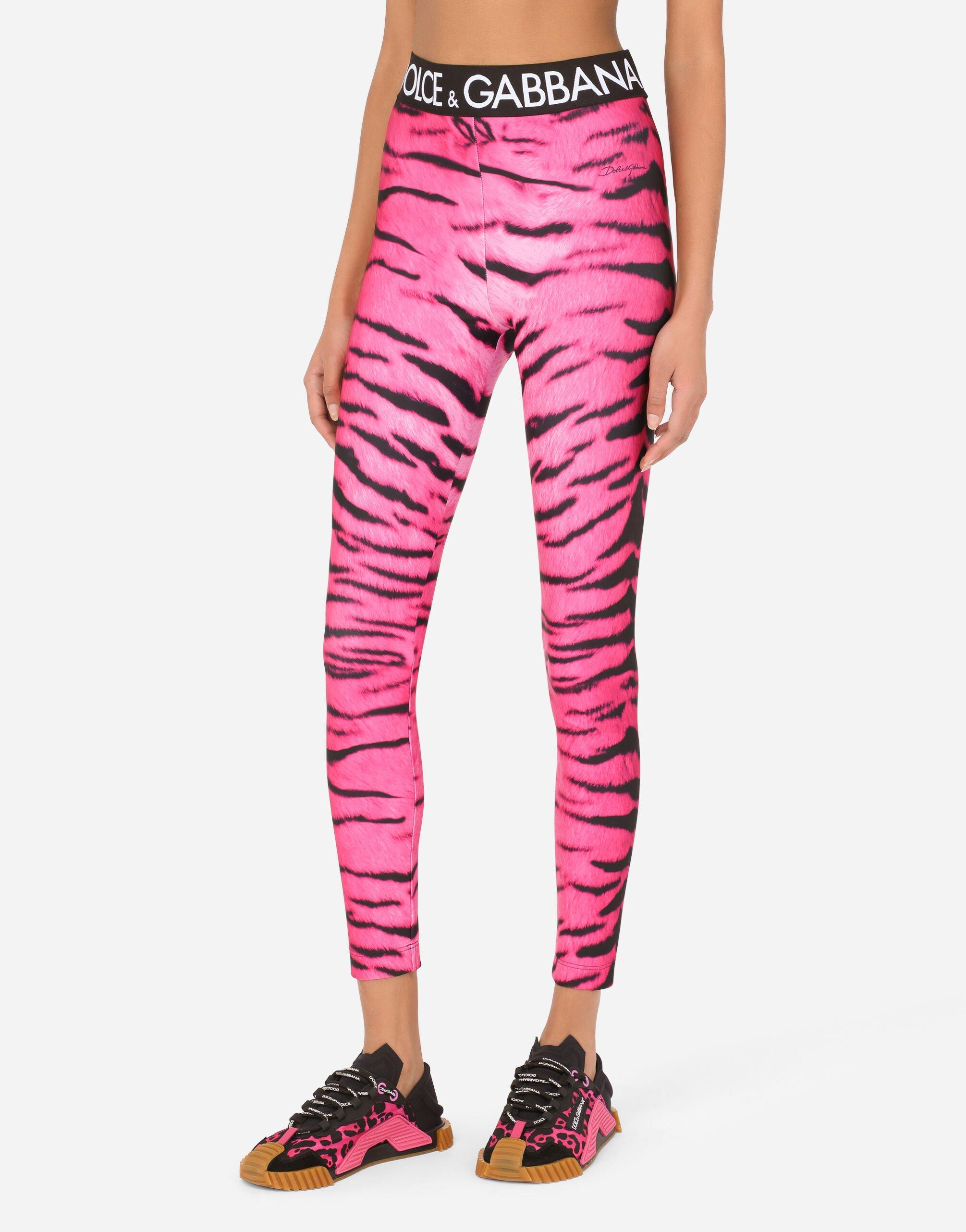 Dolce & Gabbana Run-resistant Fabric leggings With Tiger Print And Branded  Elastic in Pink