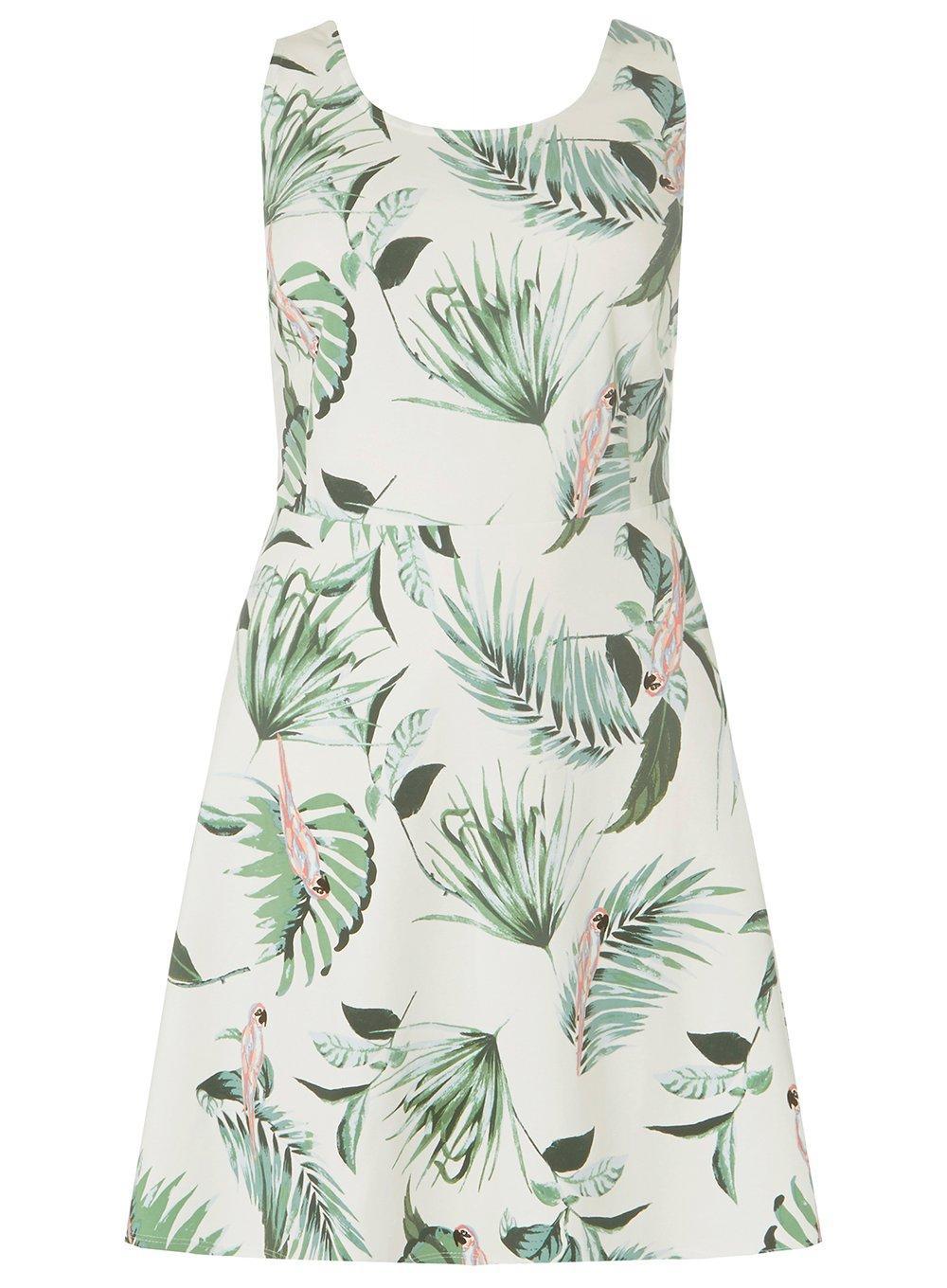 dorothy perkins parrot dress
