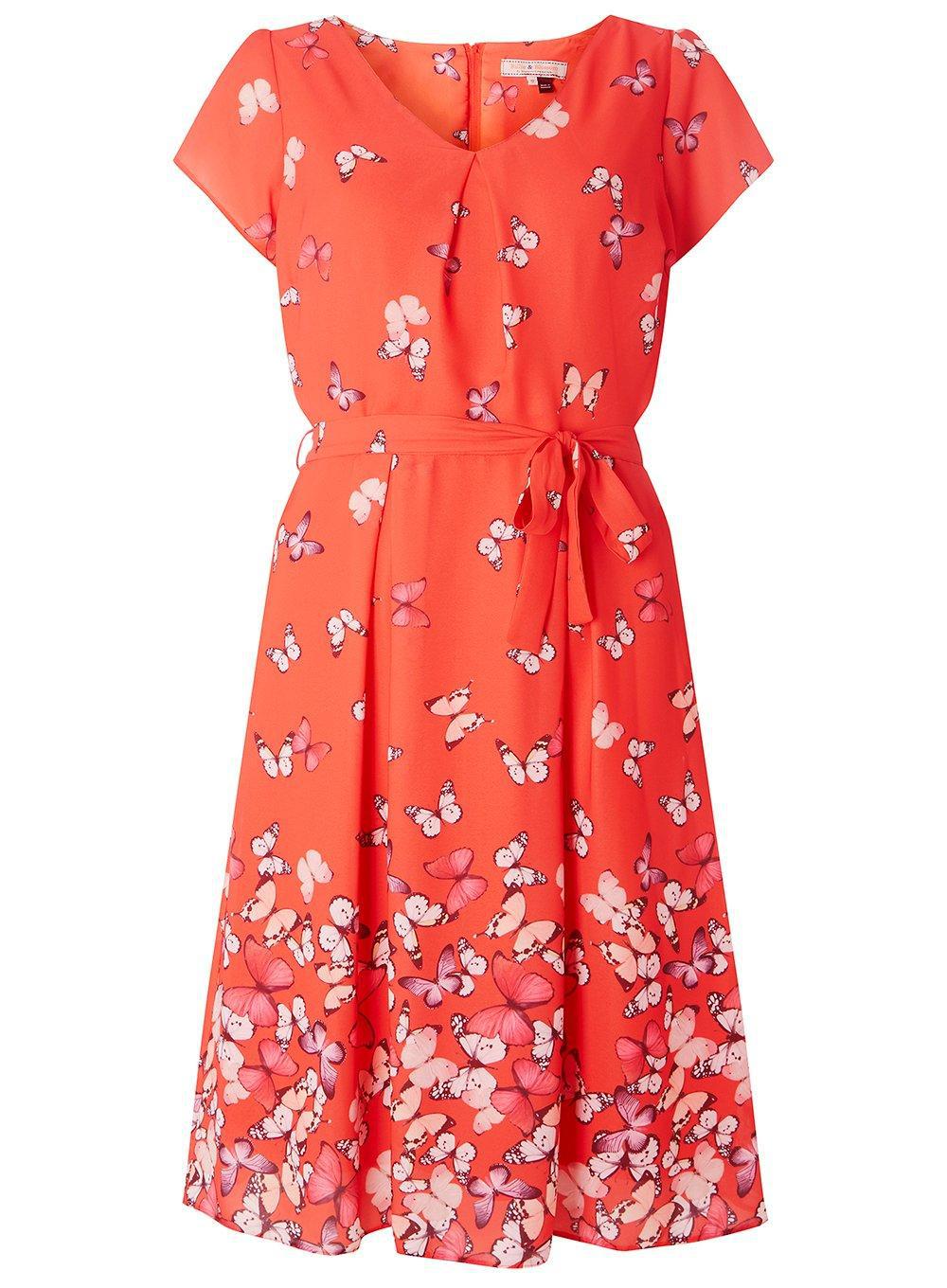 dorothy perkins butterfly dress