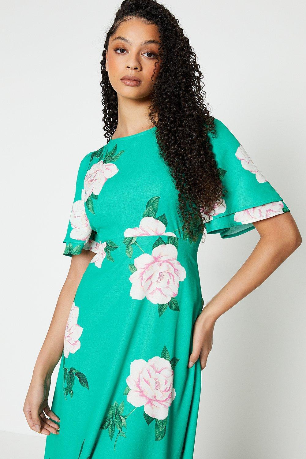 Asos dorothy perkins shop dress