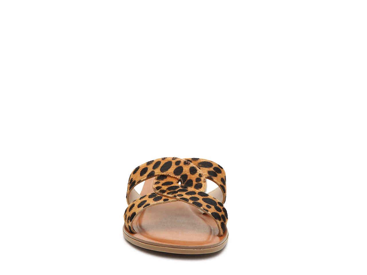 steve madden havana