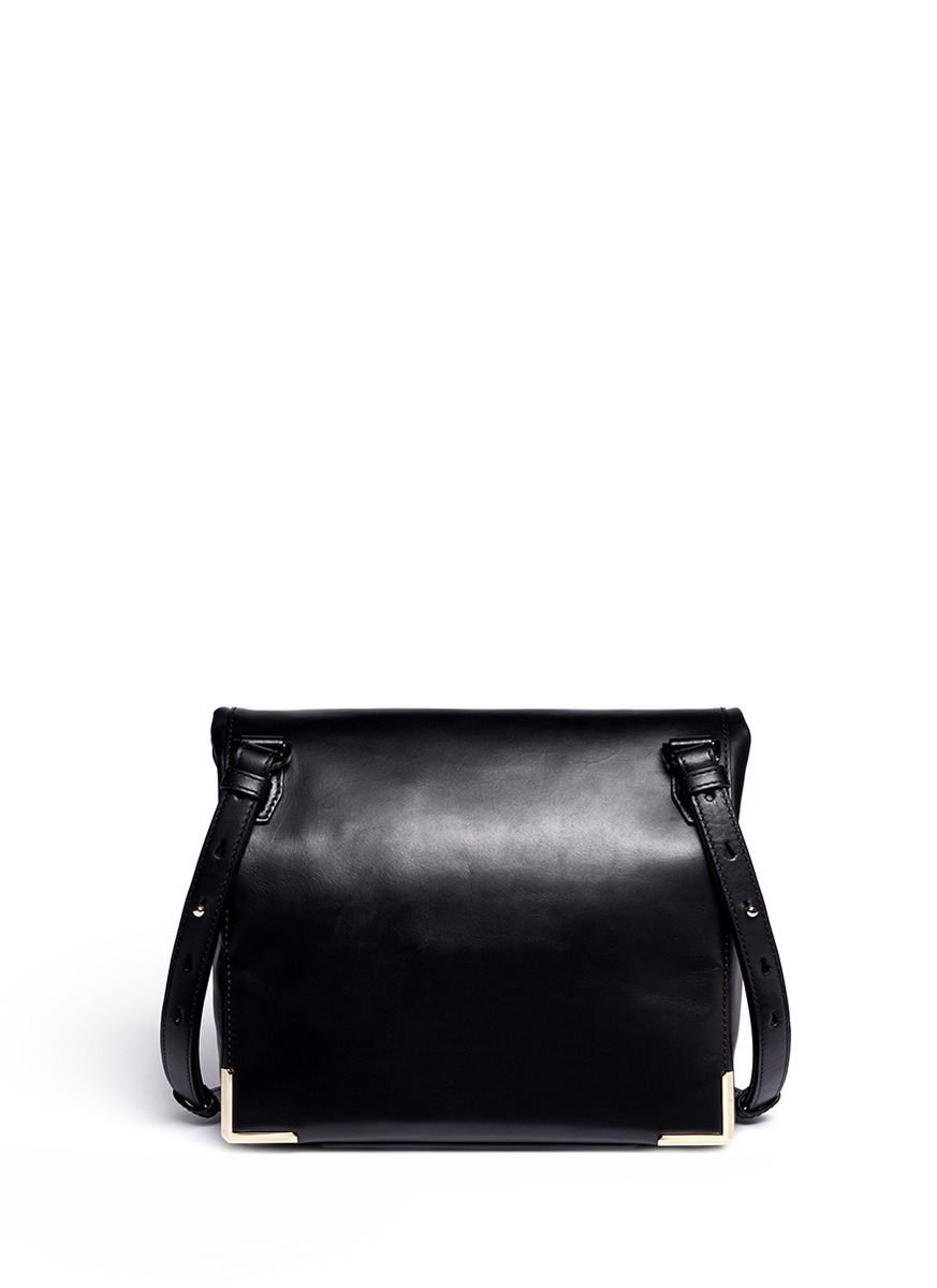 alexander wang lunch box bag