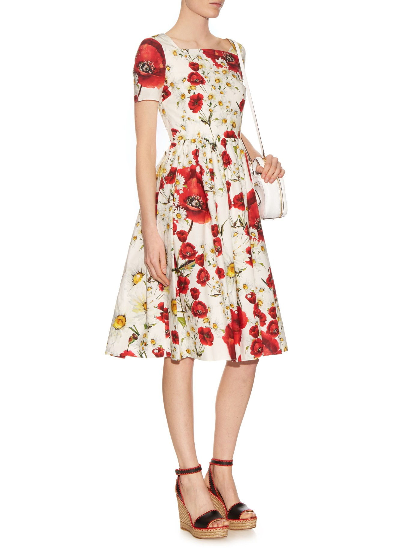 dolce and gabbana printed cotton dress