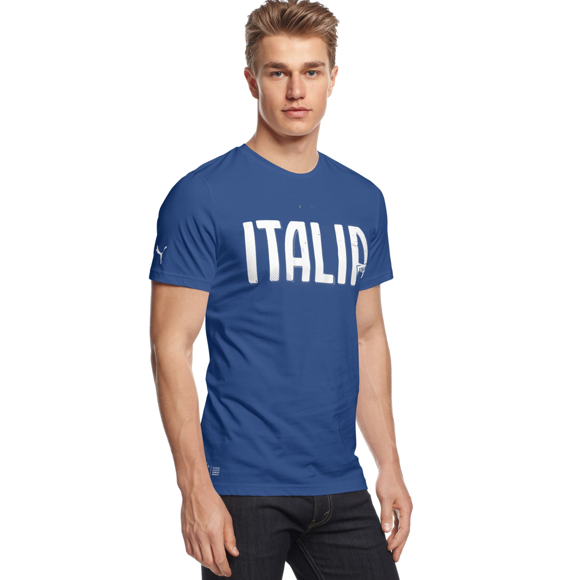 Puma Figc Italia Graphic Tshirt in Blue for Men | Lyst