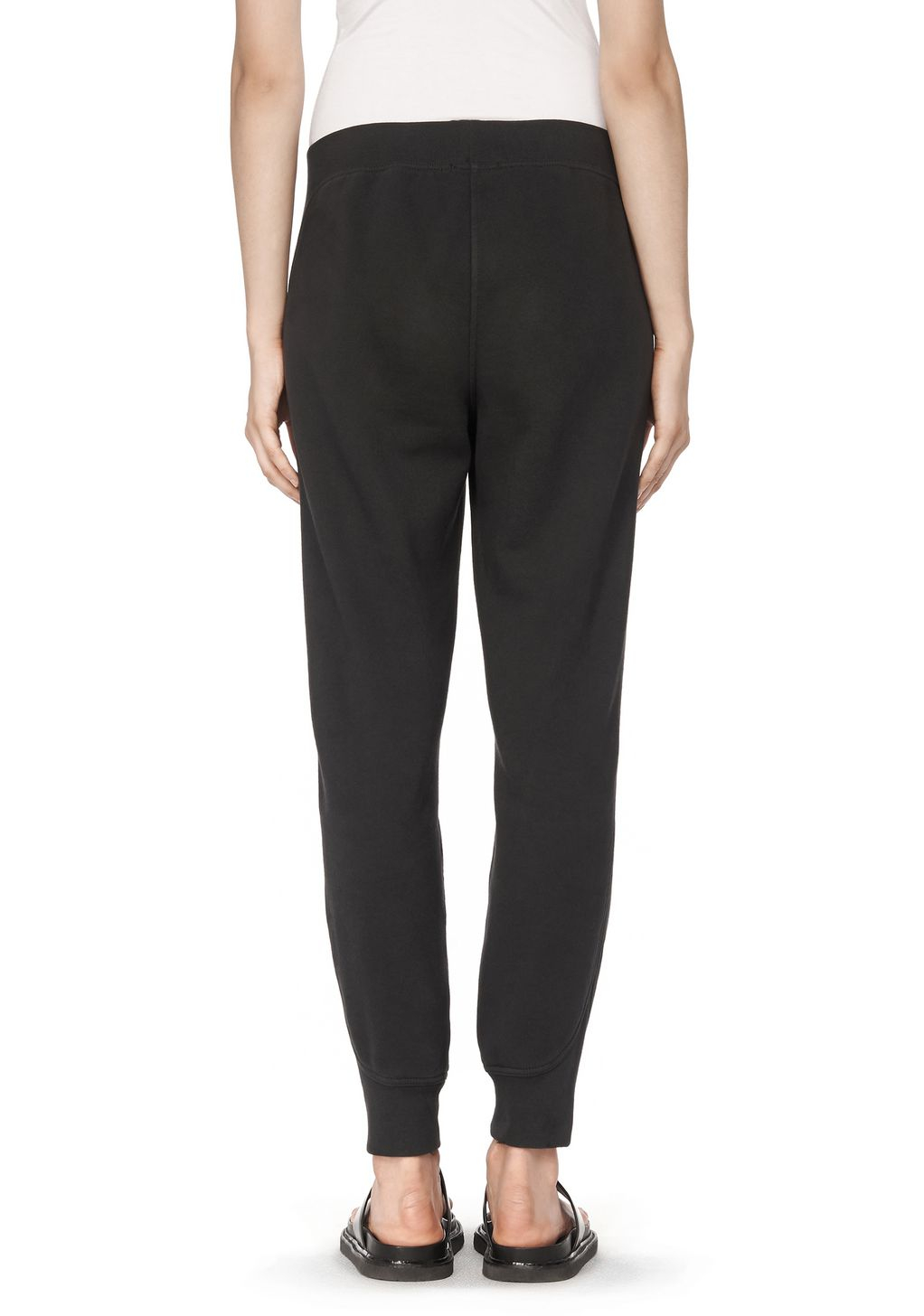 wang sweatpants