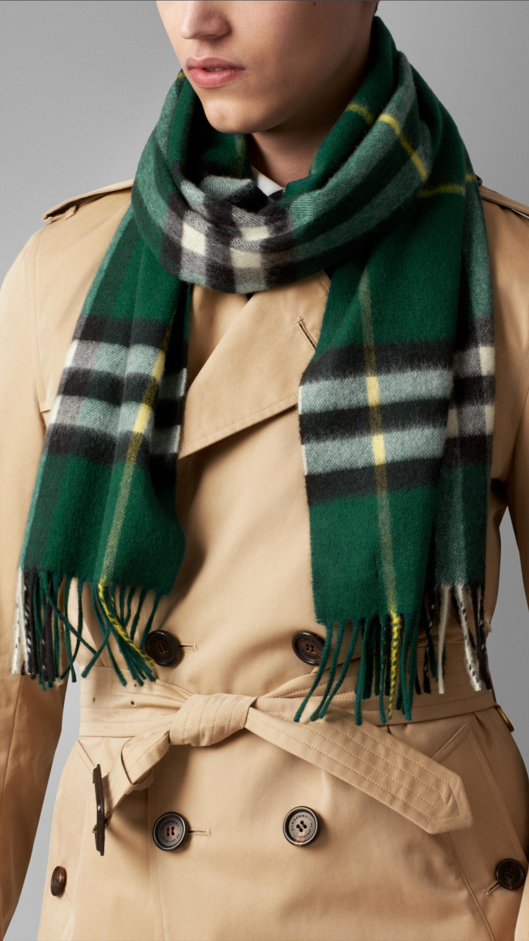 tidligste beundring medlem Burberry Check Cashmere Scarf in Green | Lyst