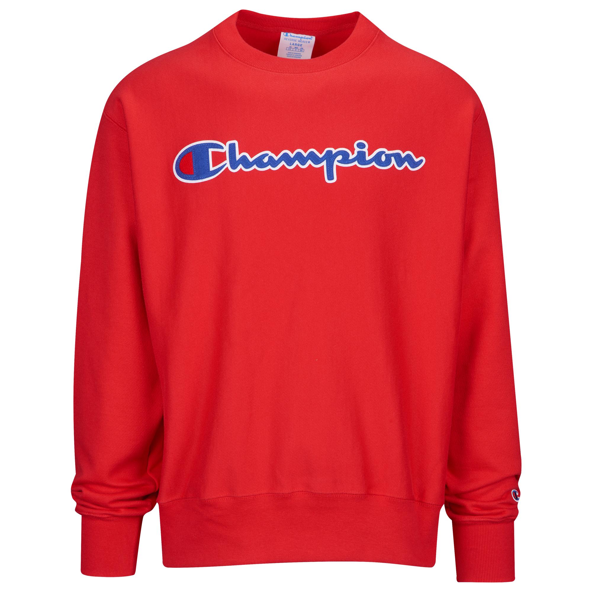 champion reverse weave graphic fleece hoodie
