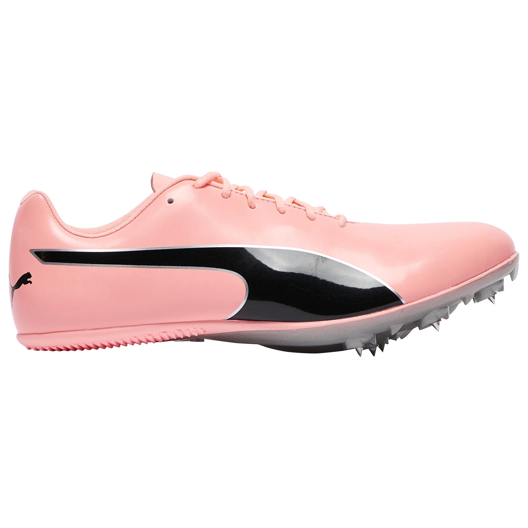 puma evospeed silver