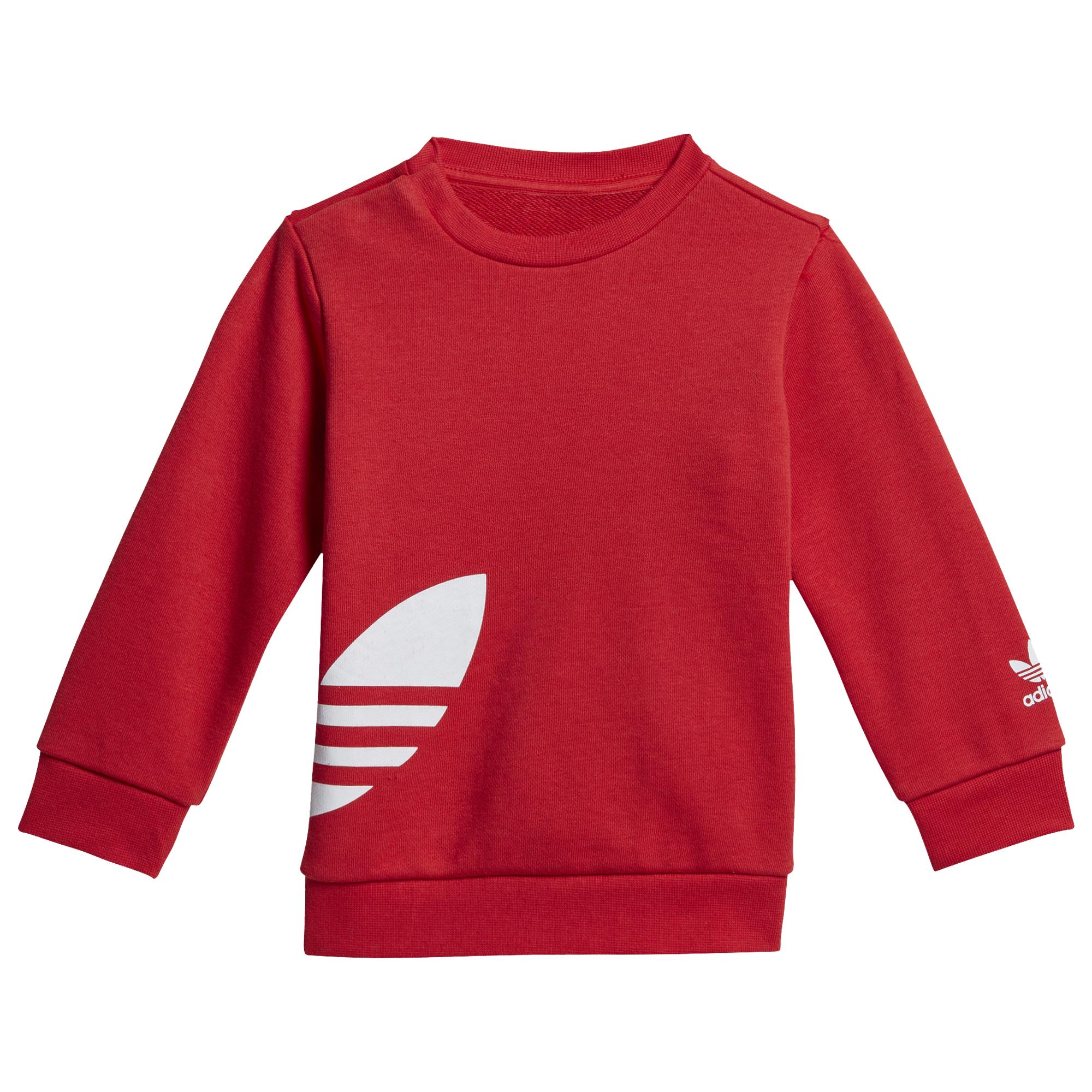 Trefoil adidas костюм