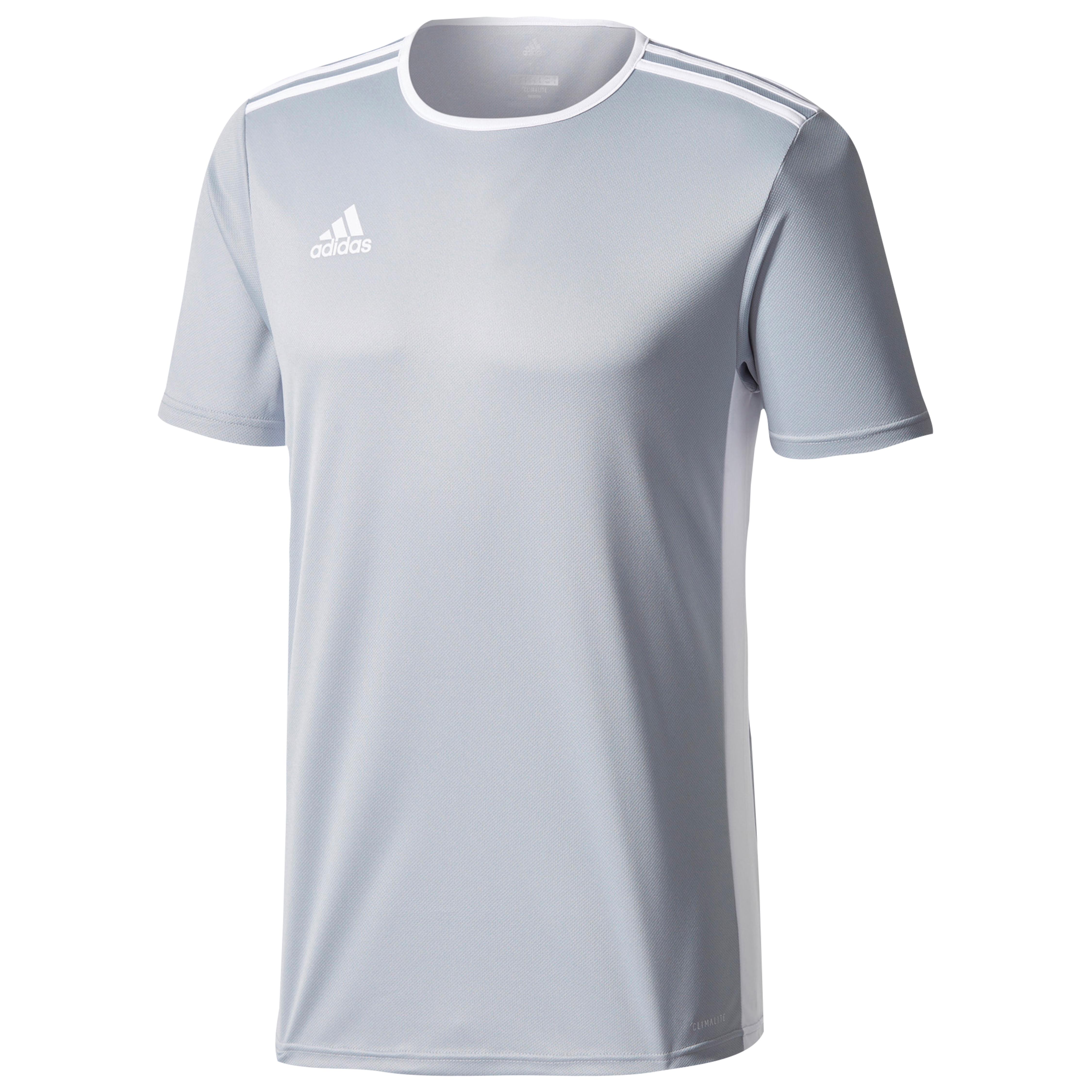 adidas Synthetic Team Entrada 18 Short Sleeve Jersey in Light Grey