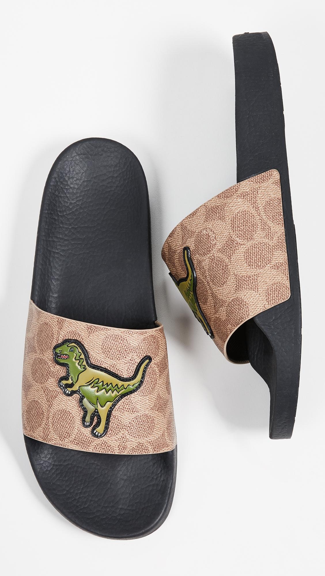 Coach Dinosaur Slides 2025