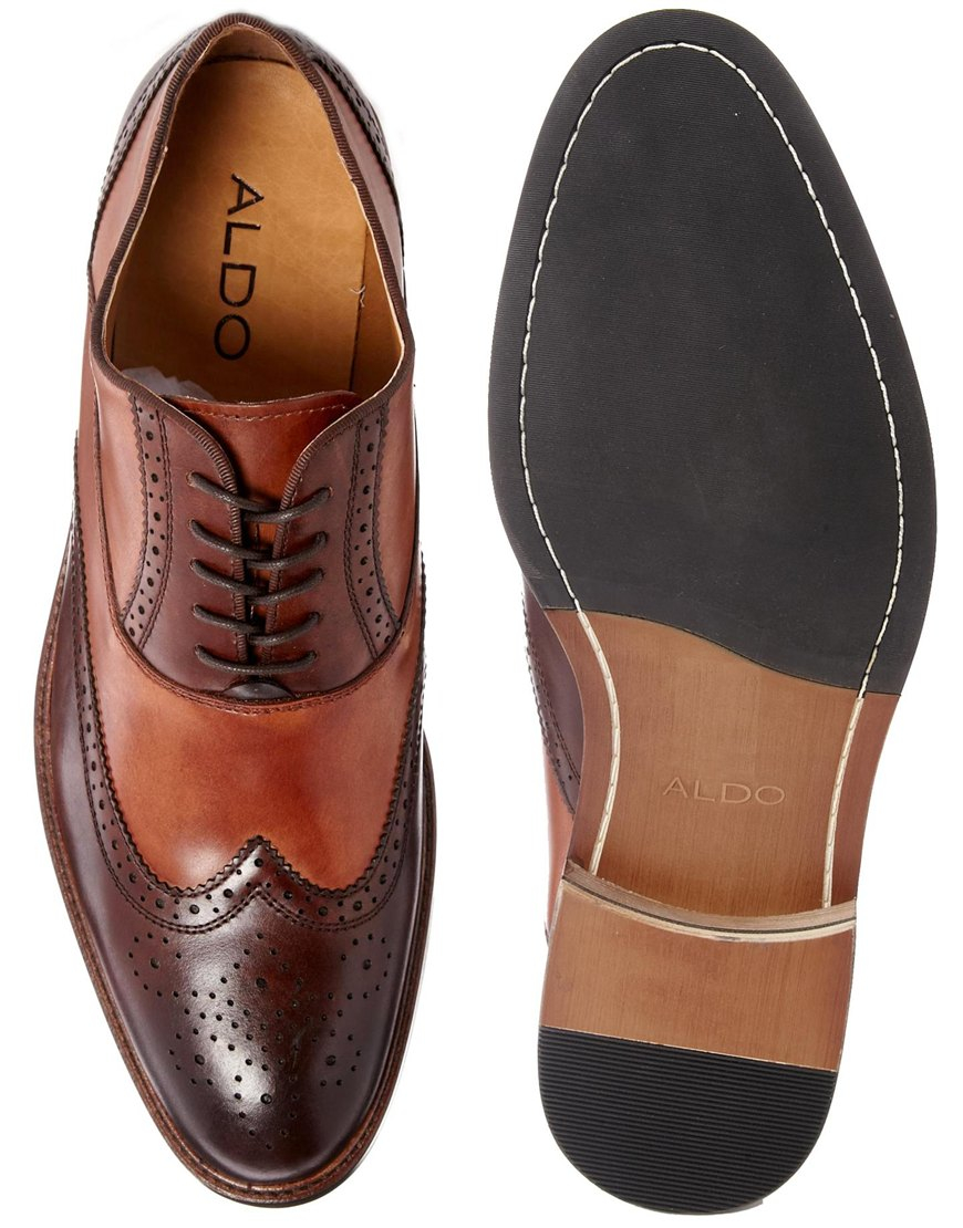 Lyst Aldo Coolman Brogue Shoes in Brown for Men