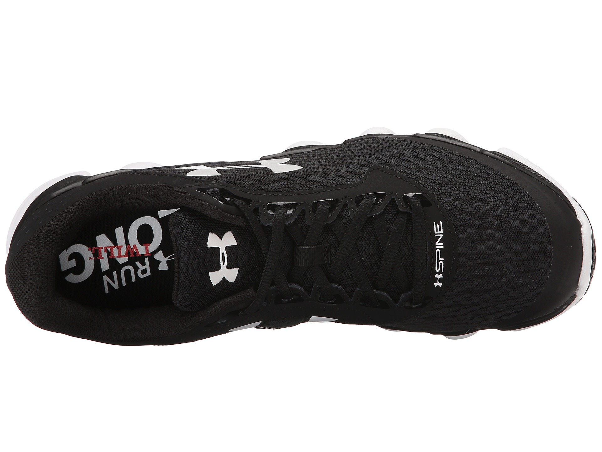ua spine disrupt