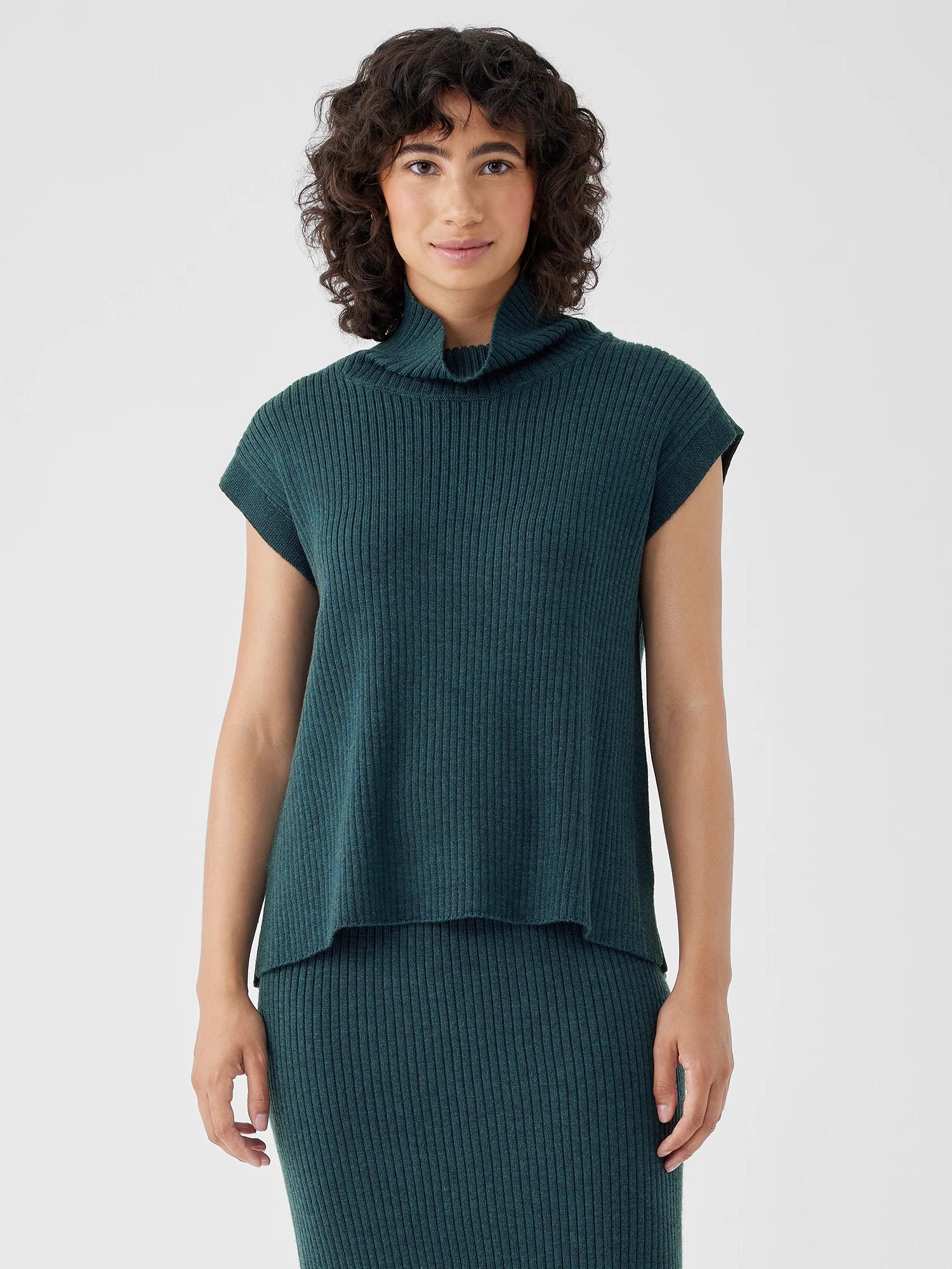 Merino Jersey Turtleneck Dress in Regenerative Wool