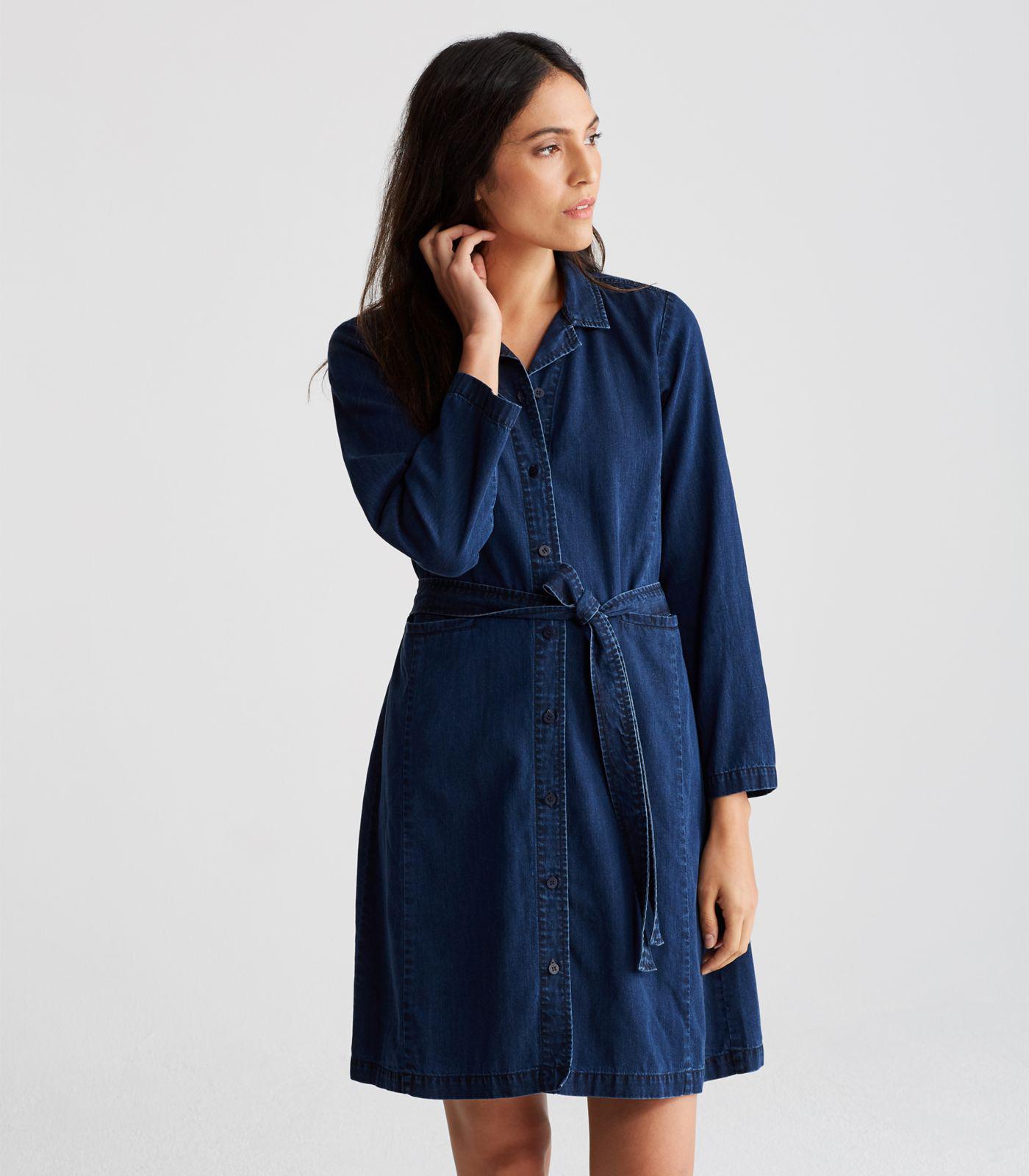 eileen fisher denim dress