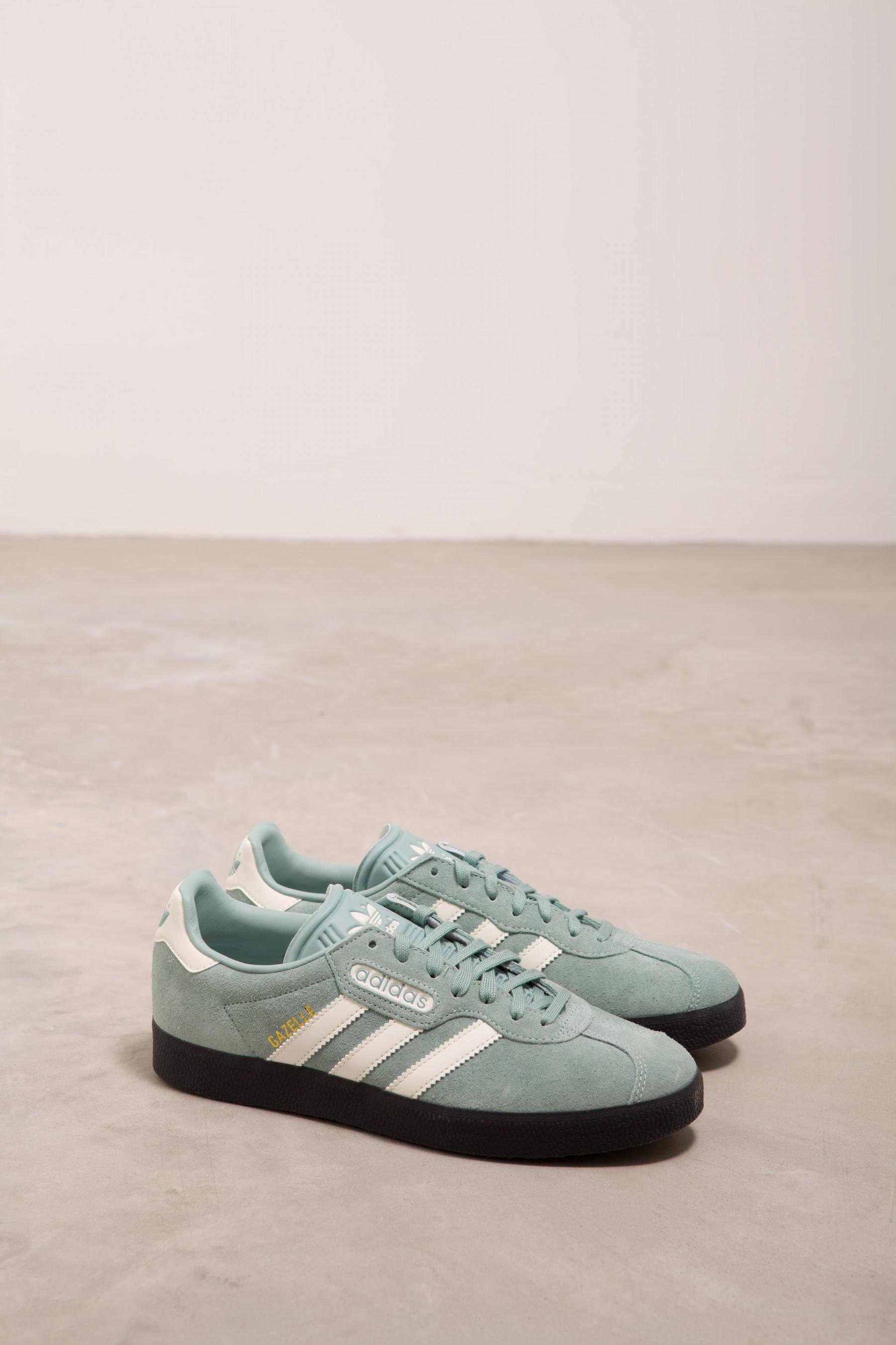 light blue gazelles