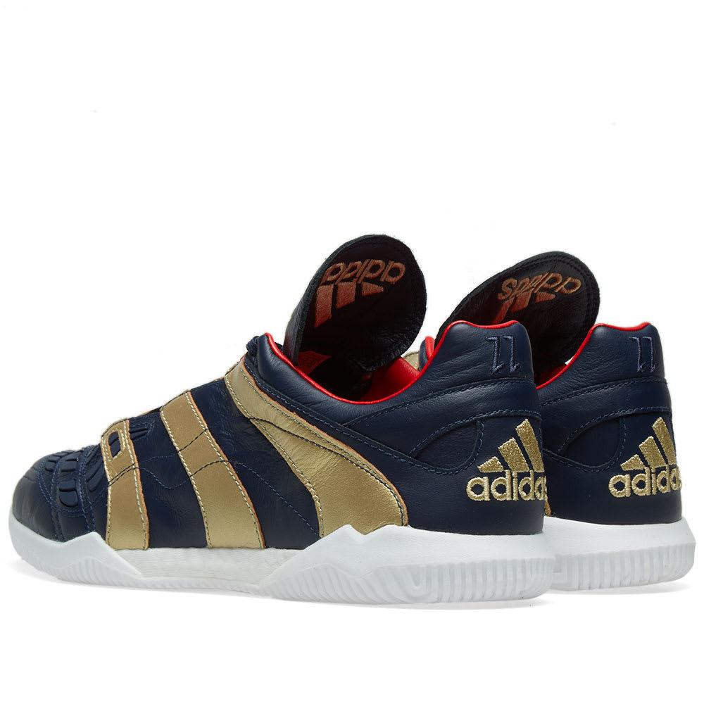 predator accelerator zz