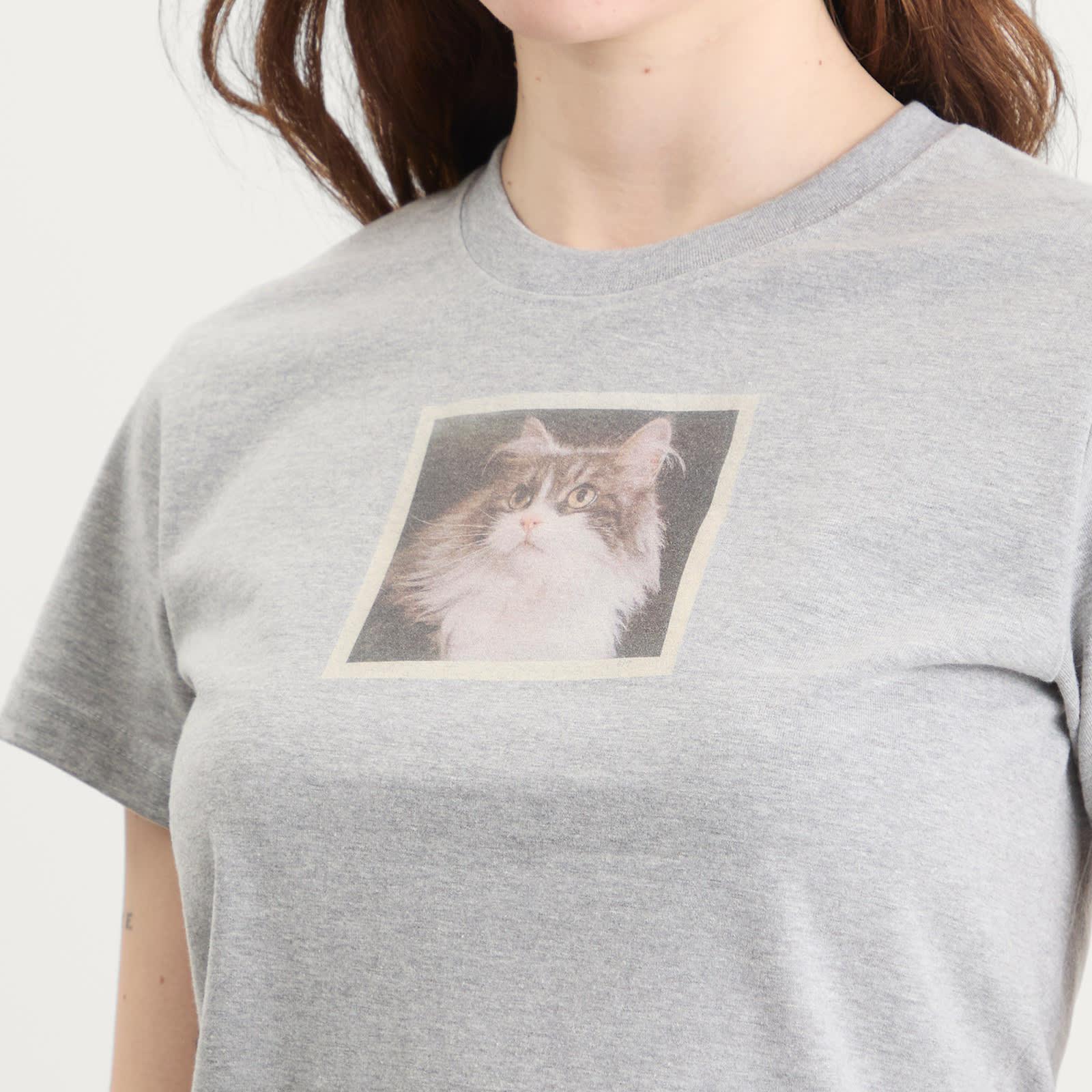 Fruity Booty Cat T-Shirt in Gray | Lyst