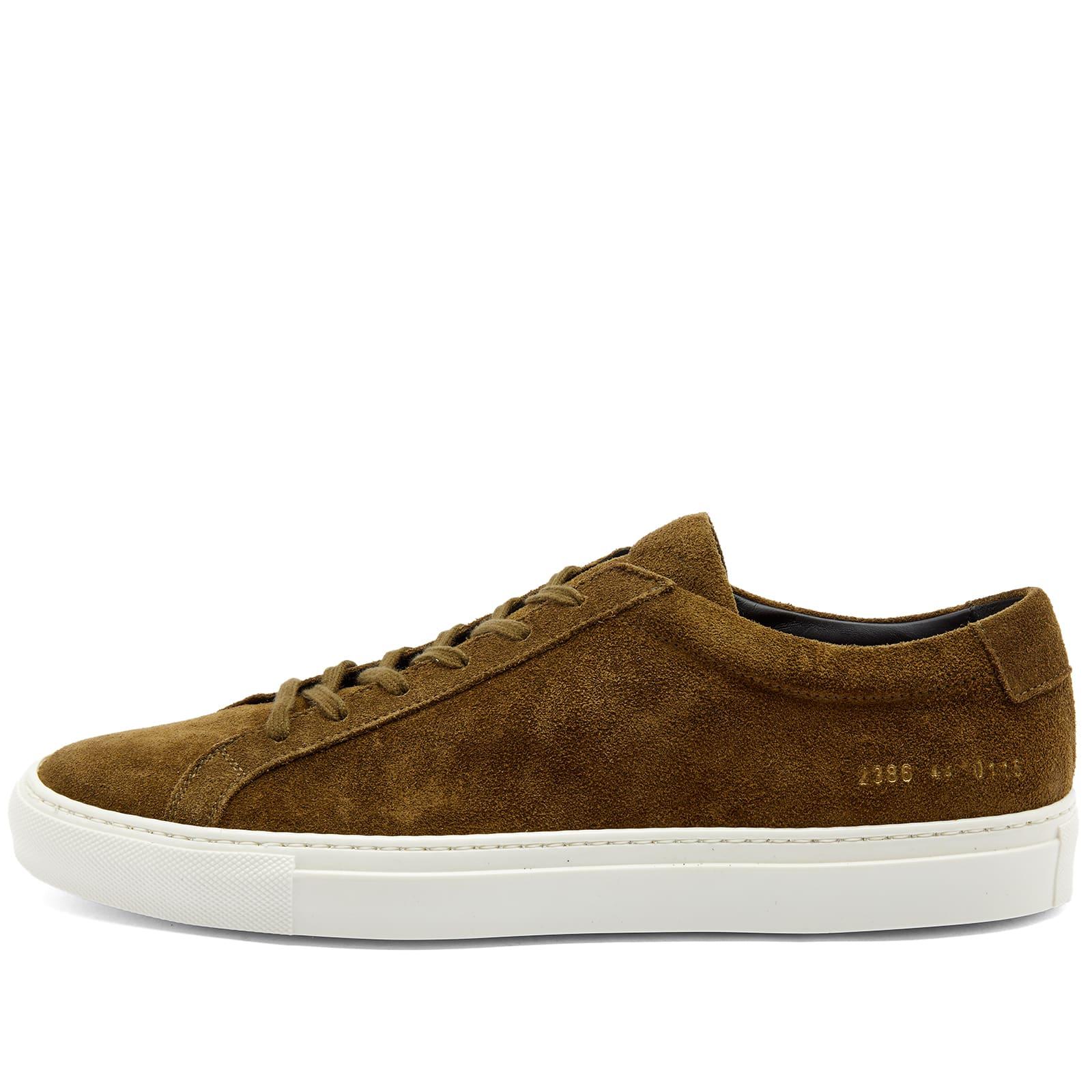 Common projects cheap achilles low suede