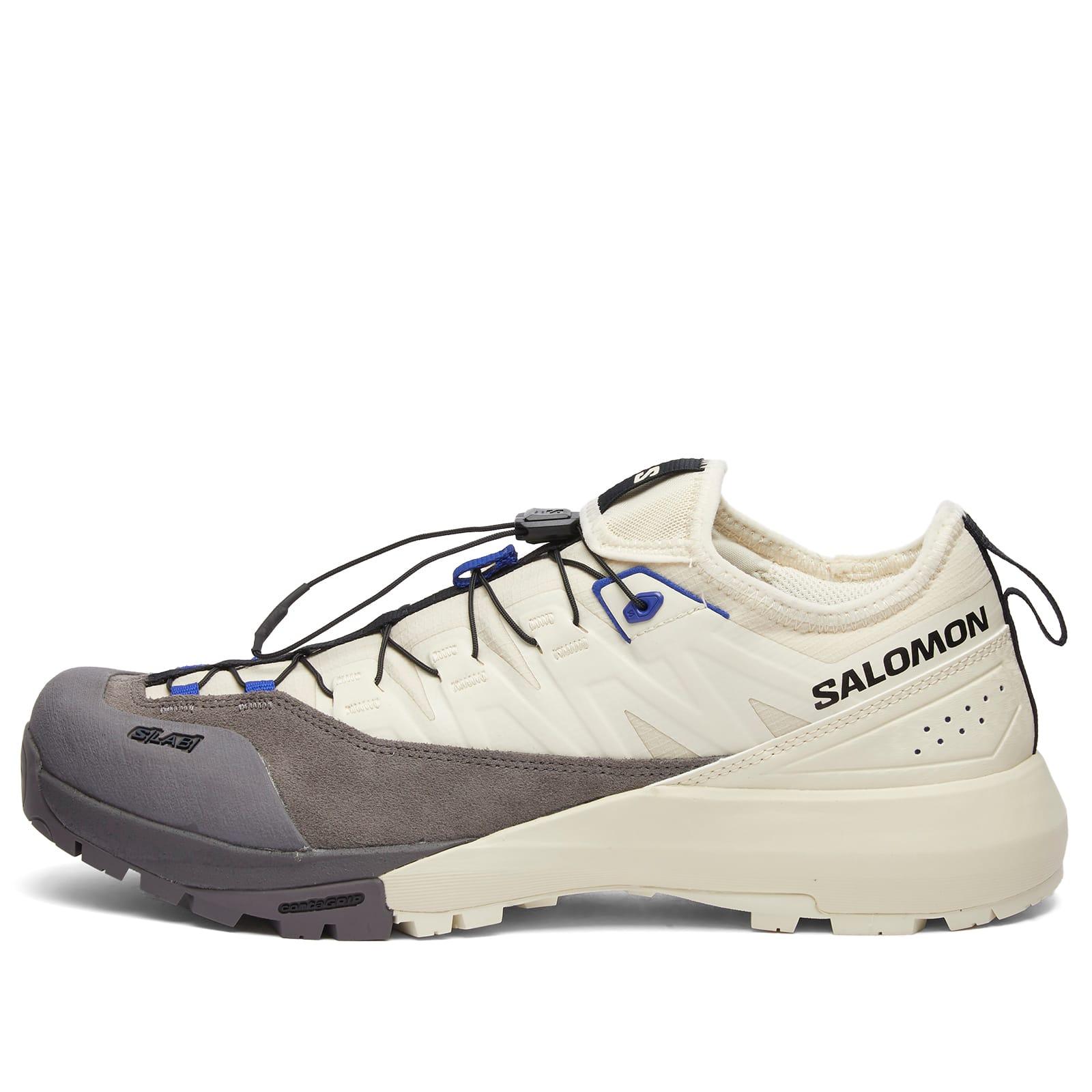 Salomon Alpinway Advanced in White for Men | Lyst