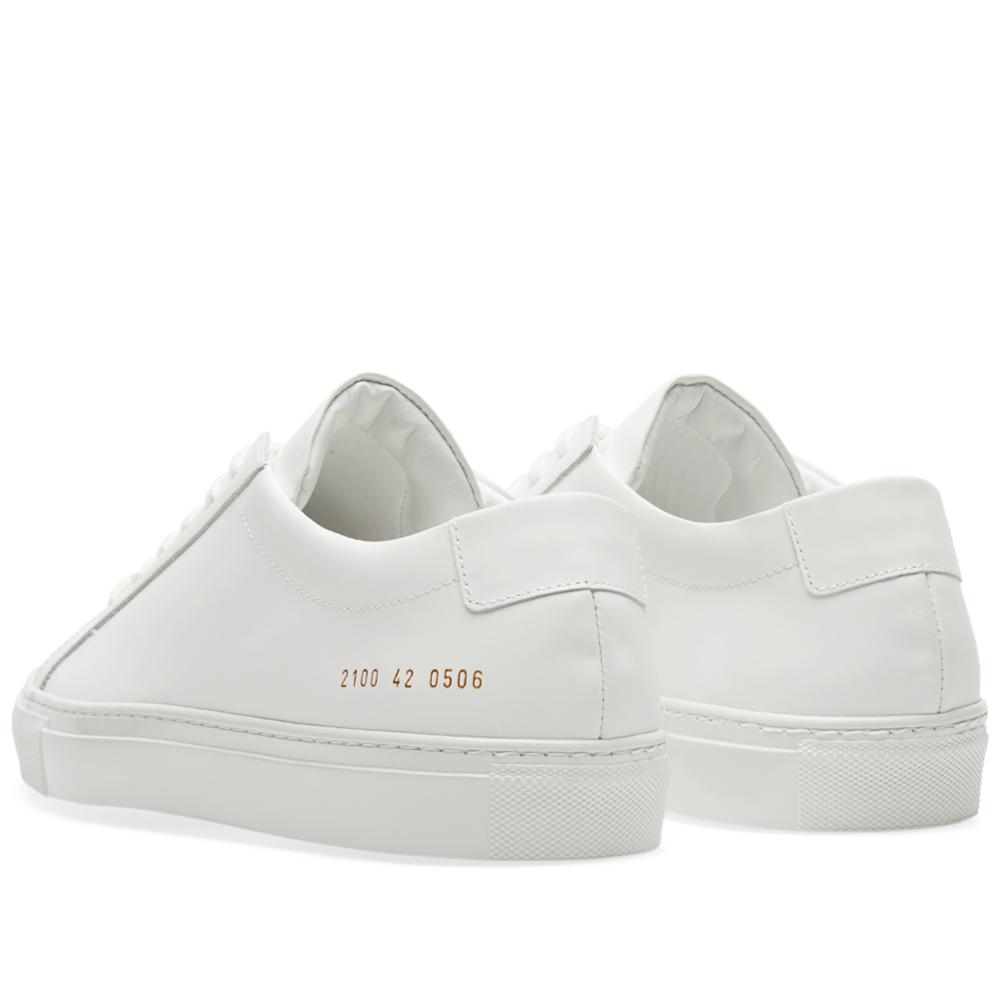 achilles low lux