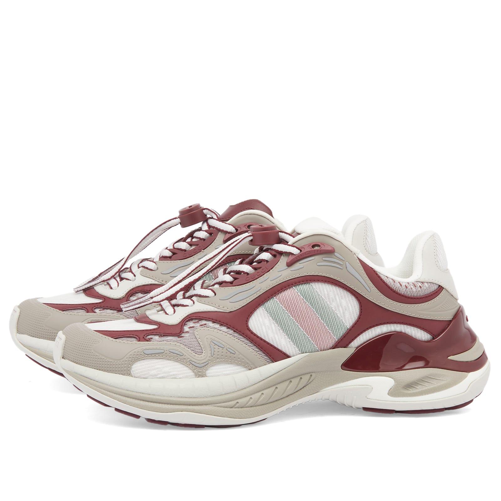 Pink Gucci Sneakers for Men | Lyst