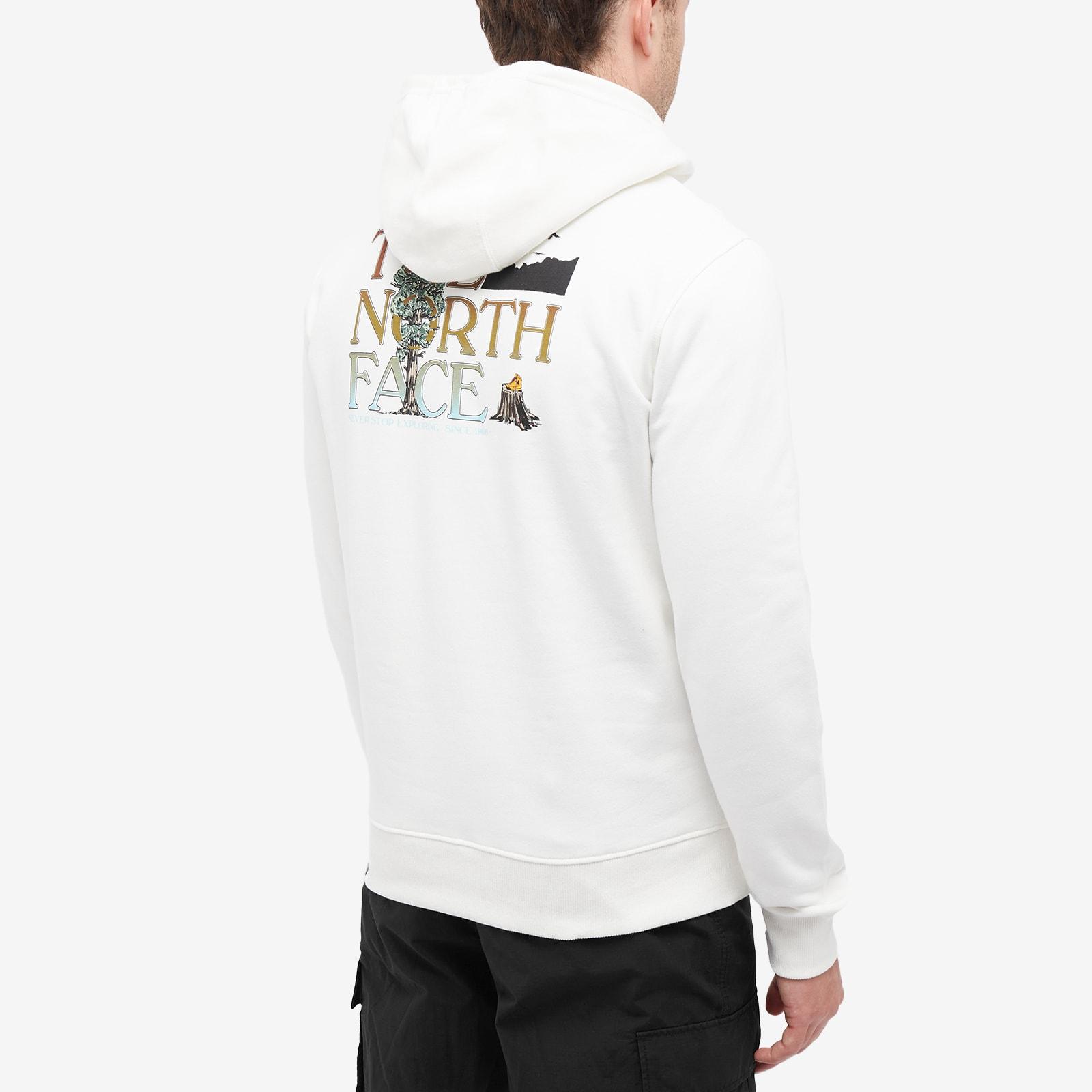 The North Face Seasonal Graphic Hoodie in White for Men | Lyst