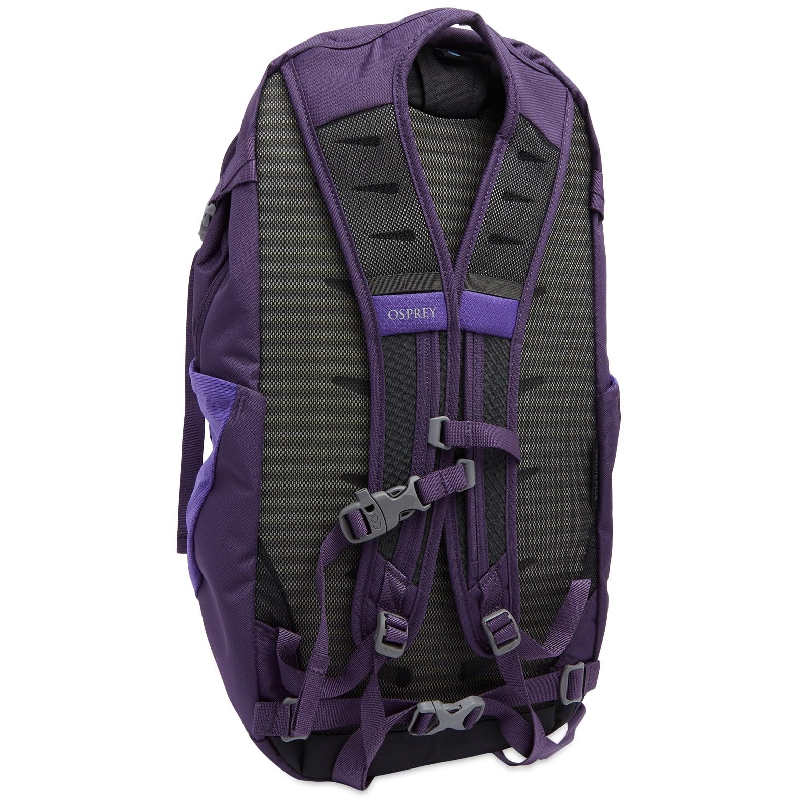 Hiking Osprey Daylite Plus Purple Osprey Daylite Plus Backpack In