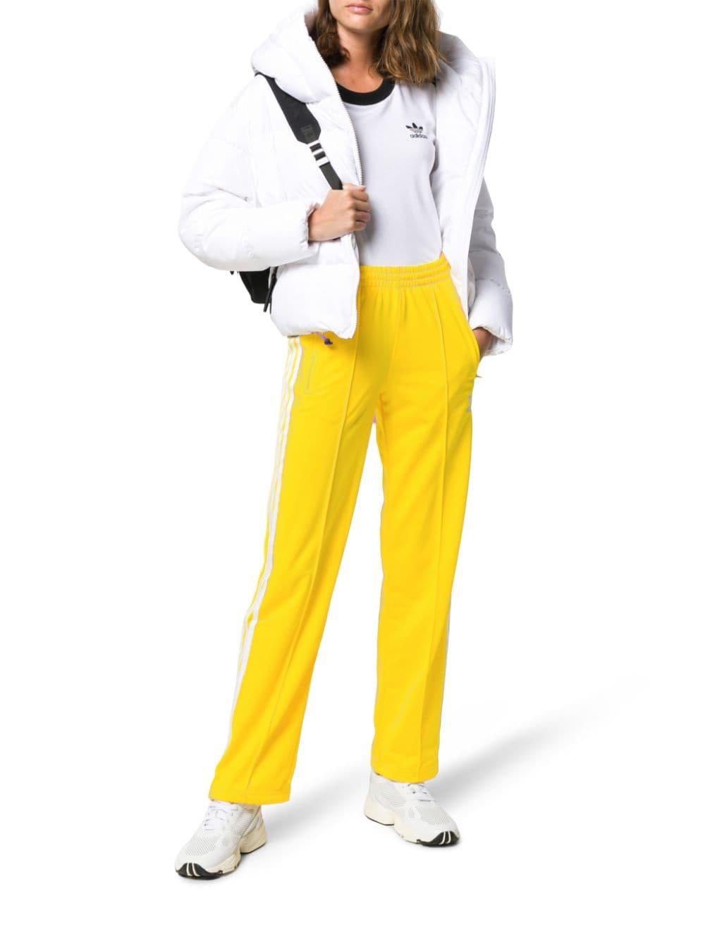 Yellow Adidas Tracksuit Shefalitayal