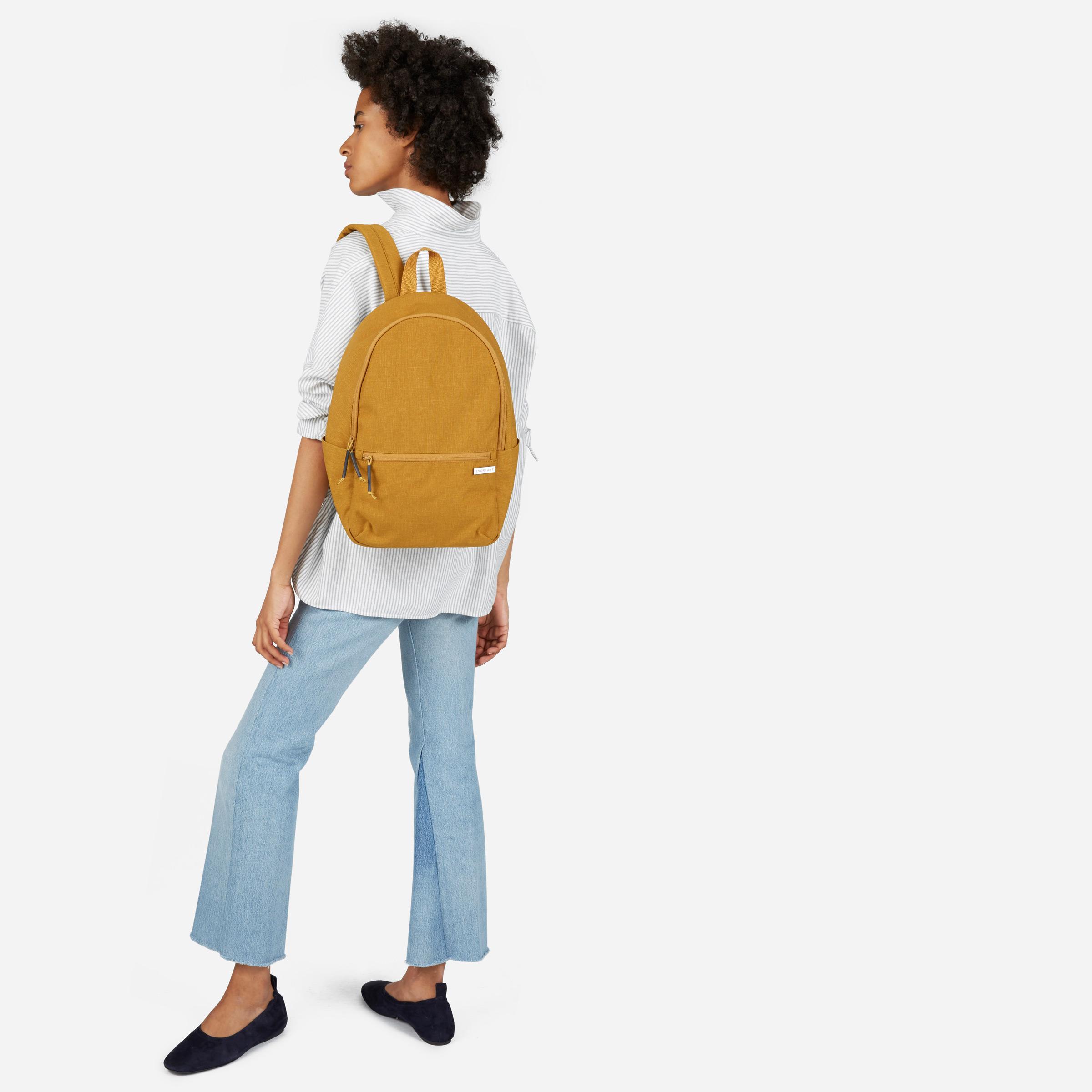 everlane mini backpack