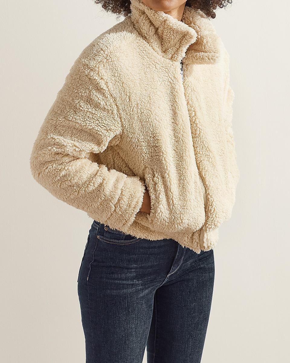express teddy bear jacket
