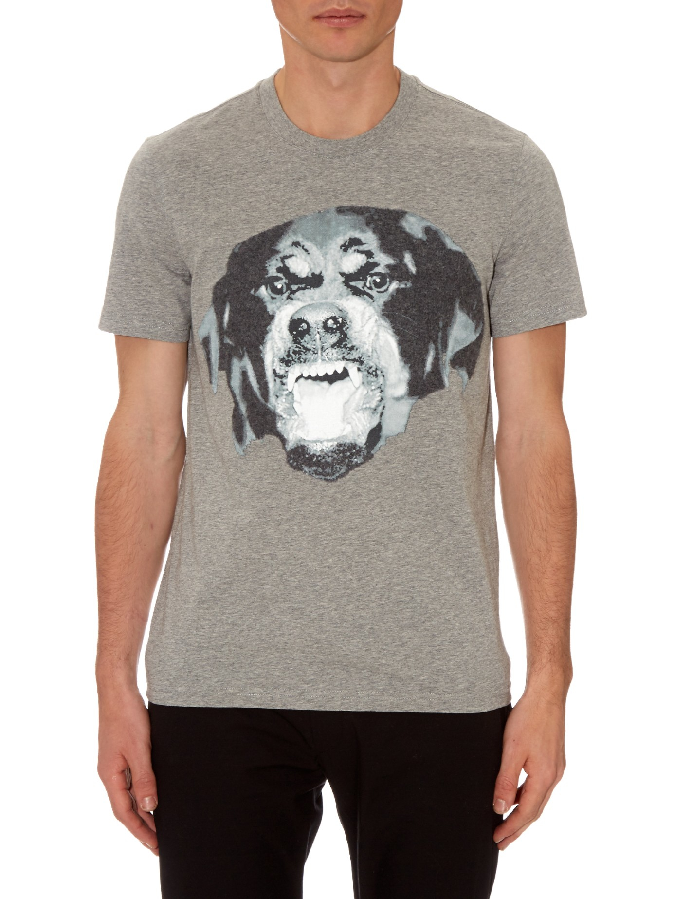 grey rottweiler givenchy cuban fit rottweiler cotton t shirt in gray for lyst grey rottweiler givenchy cuban fit rottweiler cotton t shirt in gray for lyst