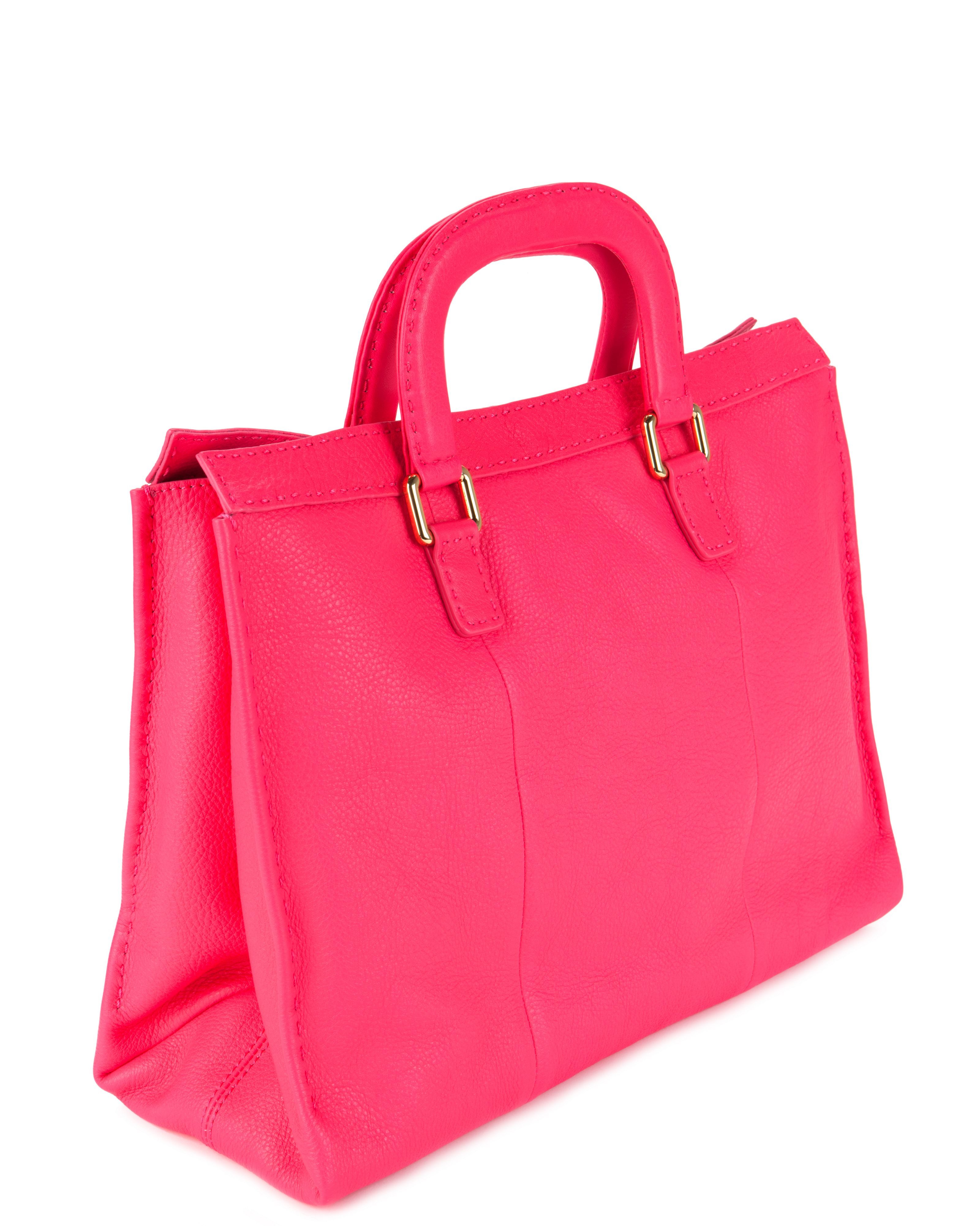 Pink Ted Baker Handbag Literacy Basics