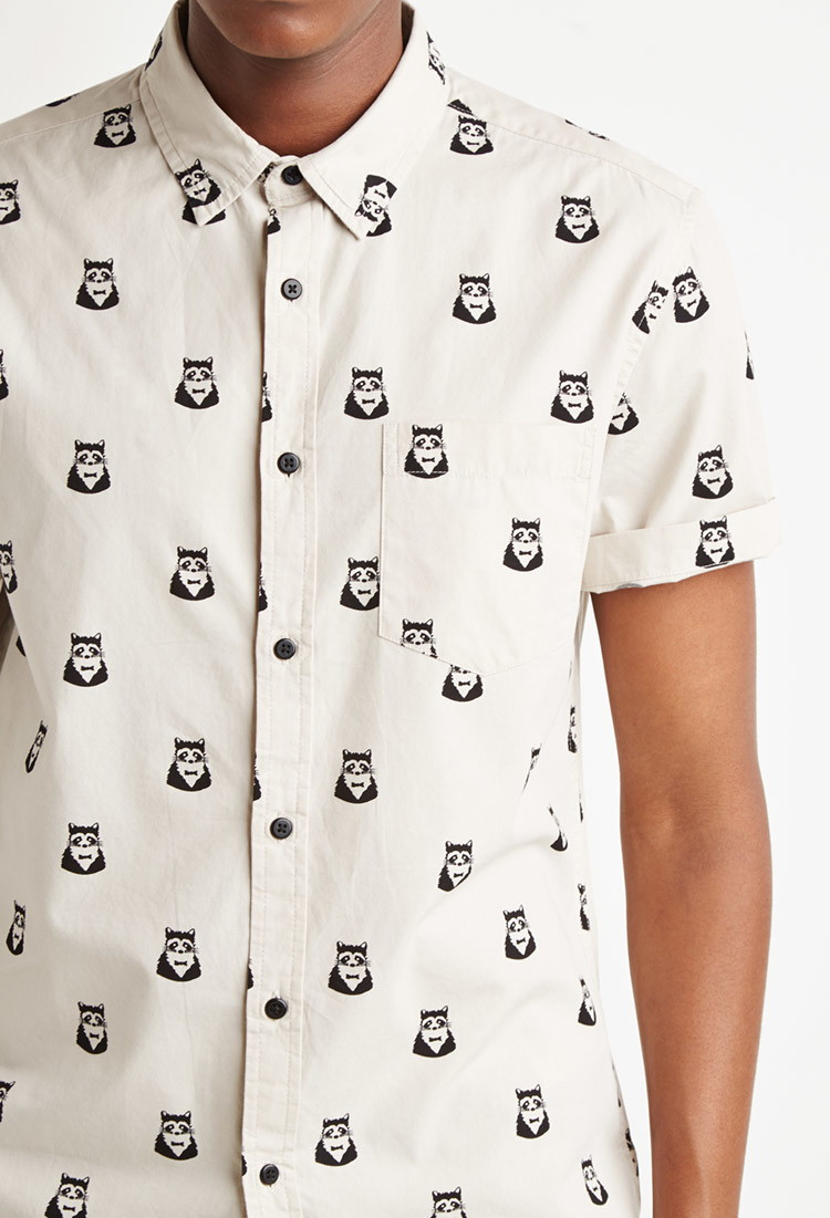 Raccoon in collared shirts Clearance