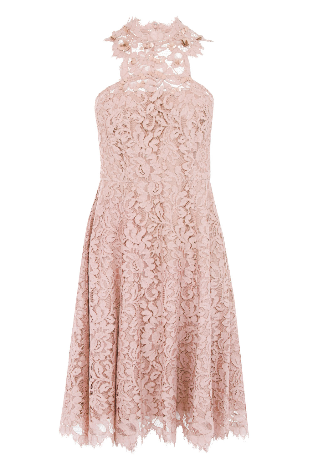 coast pink lace dress