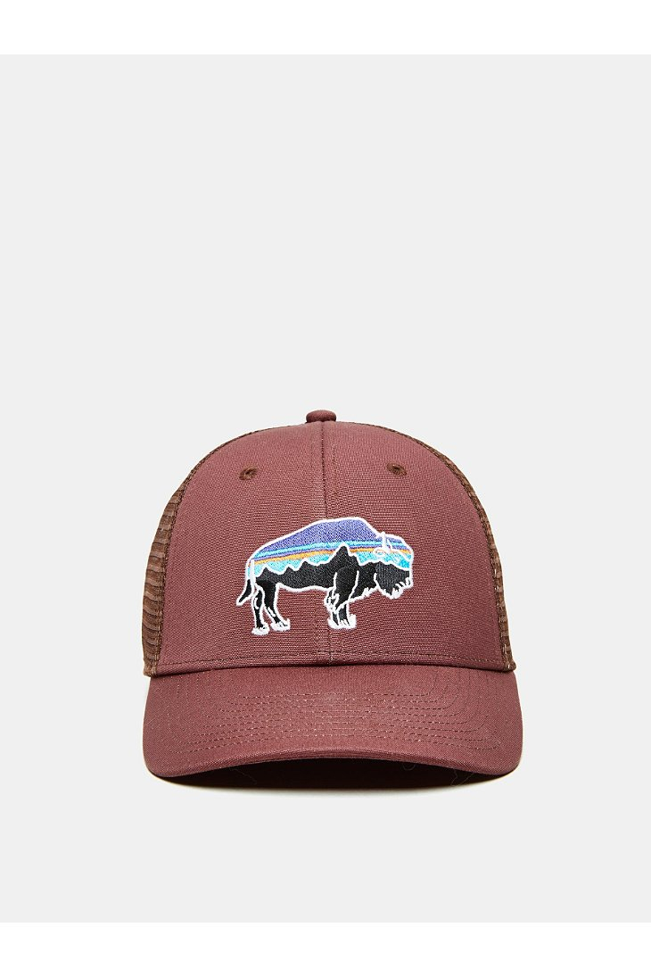 Patagonia Fitz Roy Bison Low Profile Trucker Hat in Brown for Men | Lyst