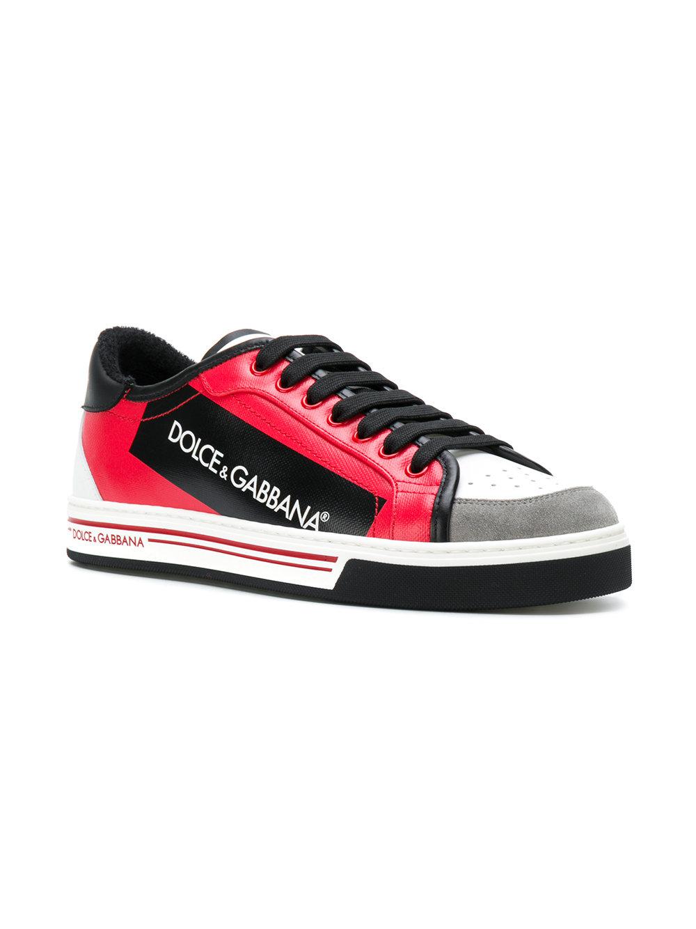 dolce and gabbana roma sneakers