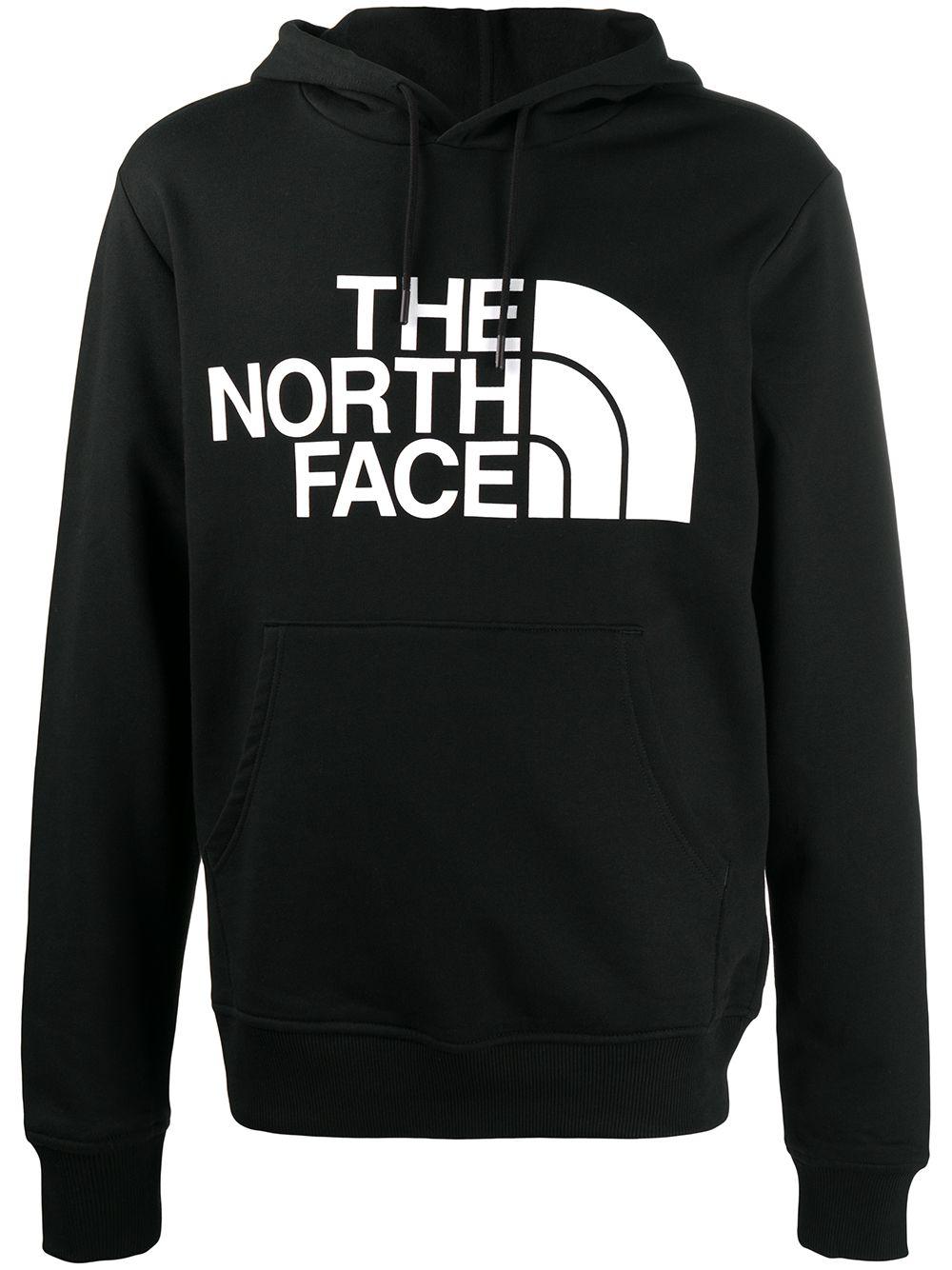 graphic hoodie the north face