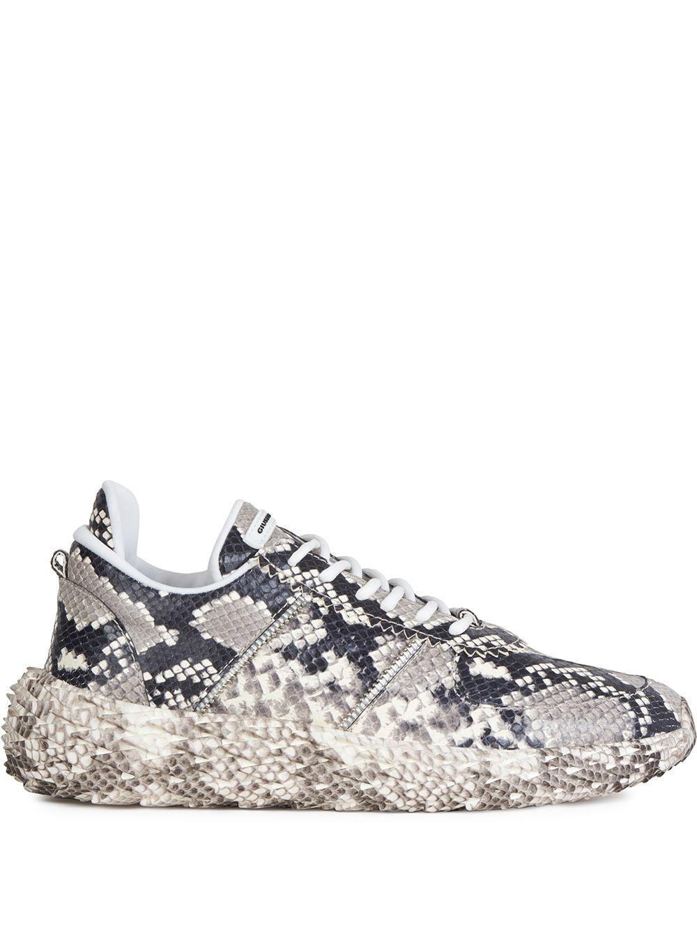 urchin giuseppe zanotti