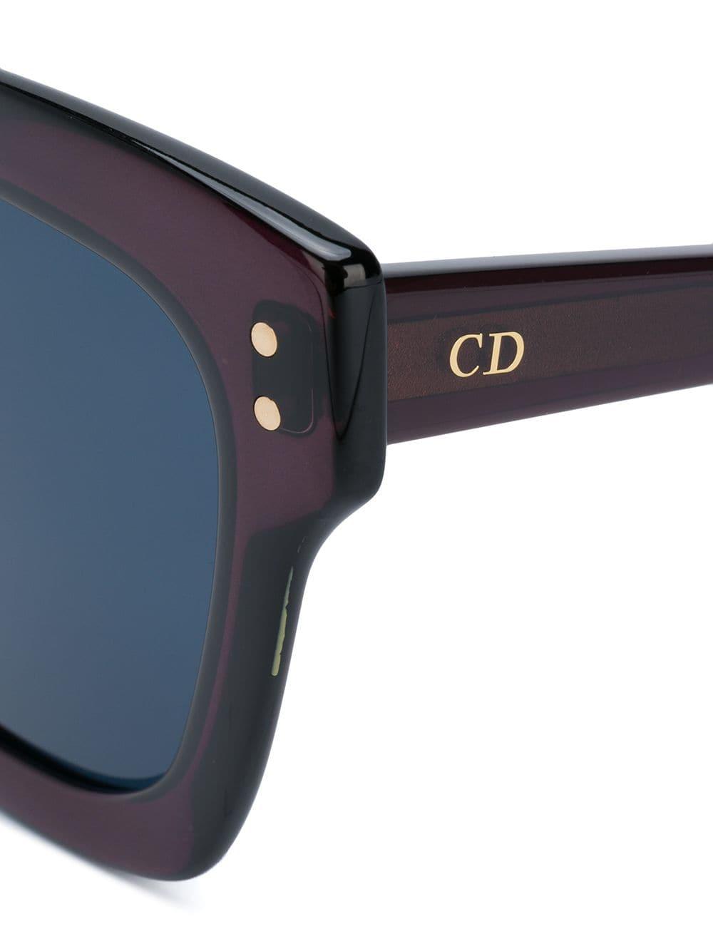 diorizon 2 sunglasses