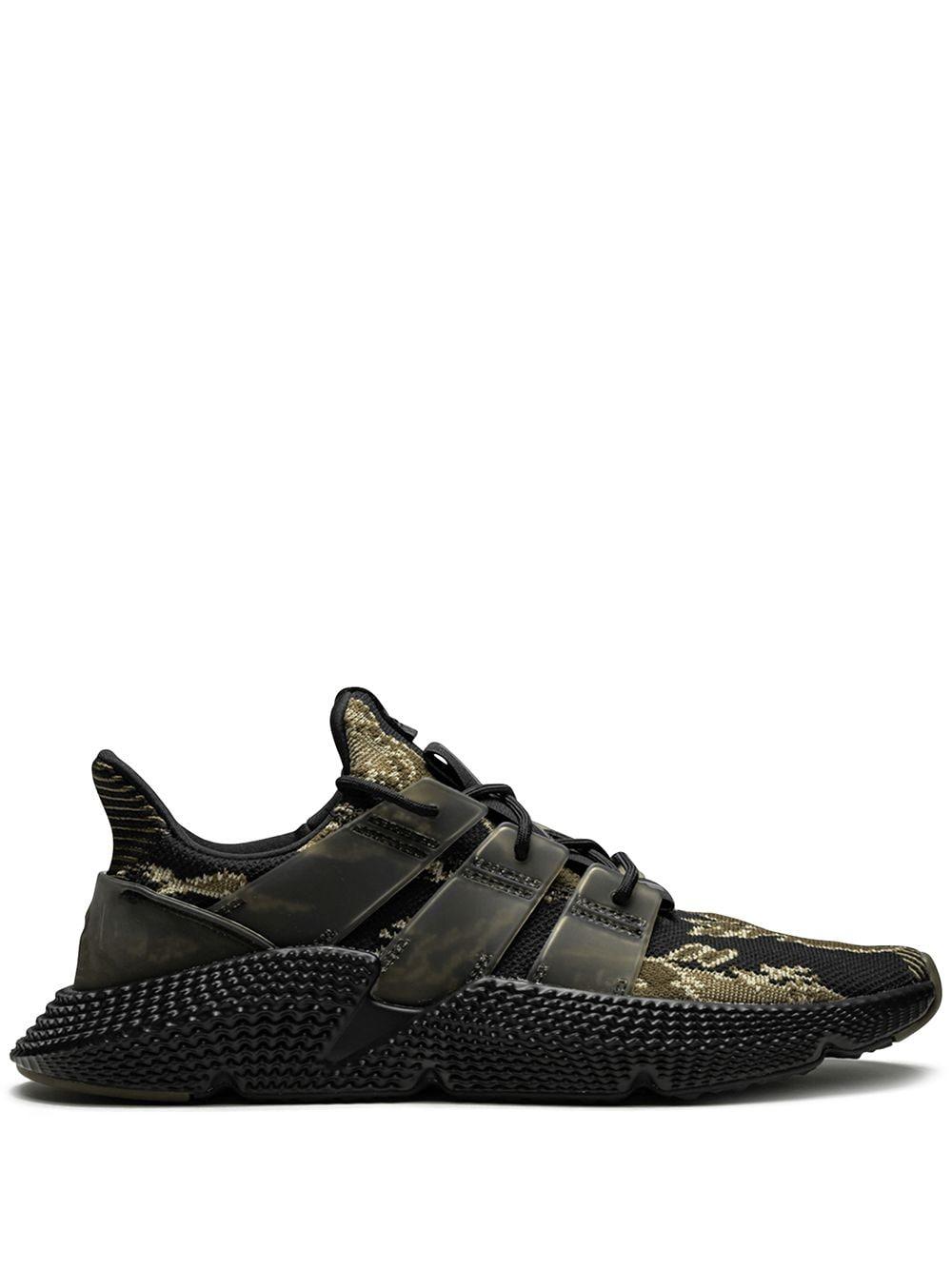 prophere undefeated