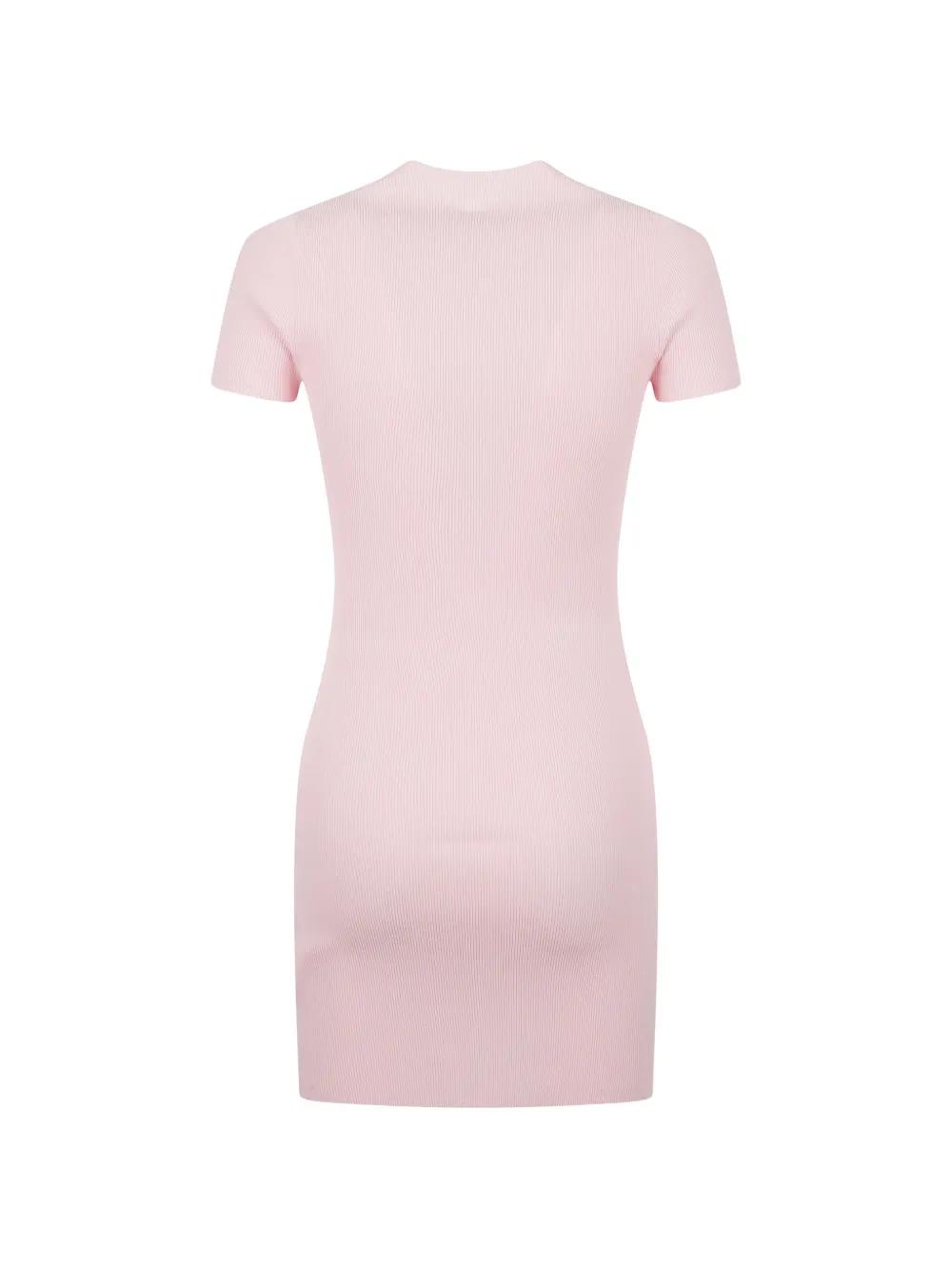alexander wang ribbed knit dress Ribbed-Knit Logo-Detail Mini in Pink VENDOR COLOR-PINE HARVEST
