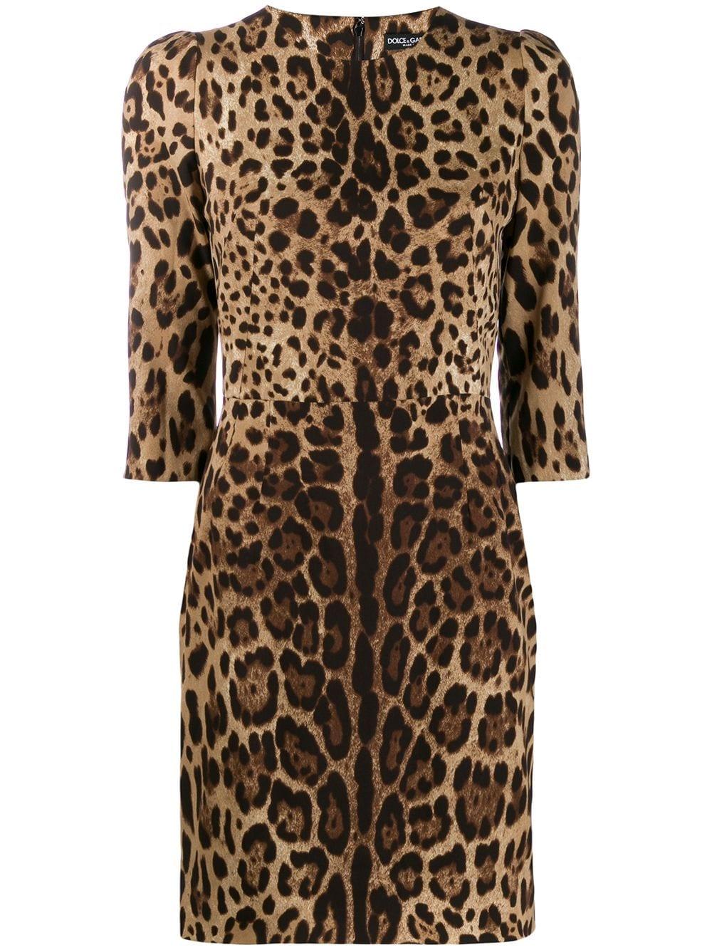 dolce & gabbana leopard dresses