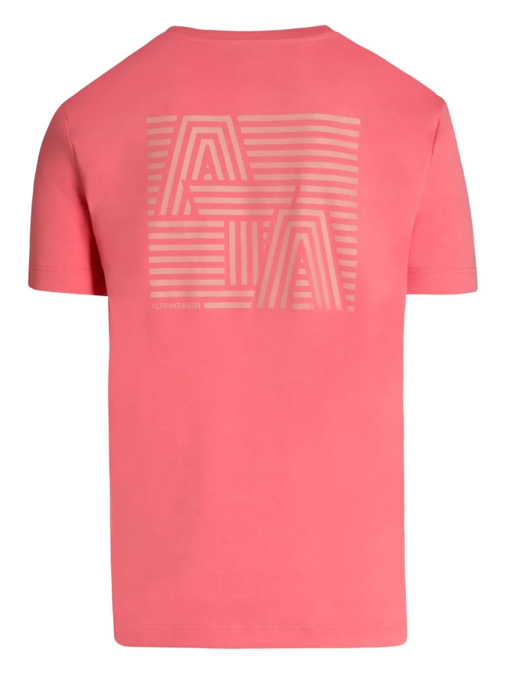 ALPHATAURI Ｔシャツ scuderia-alphatauri-2023-team-